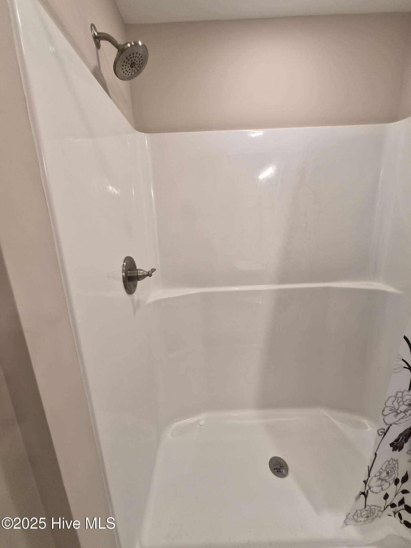 100536783 | Photo 22