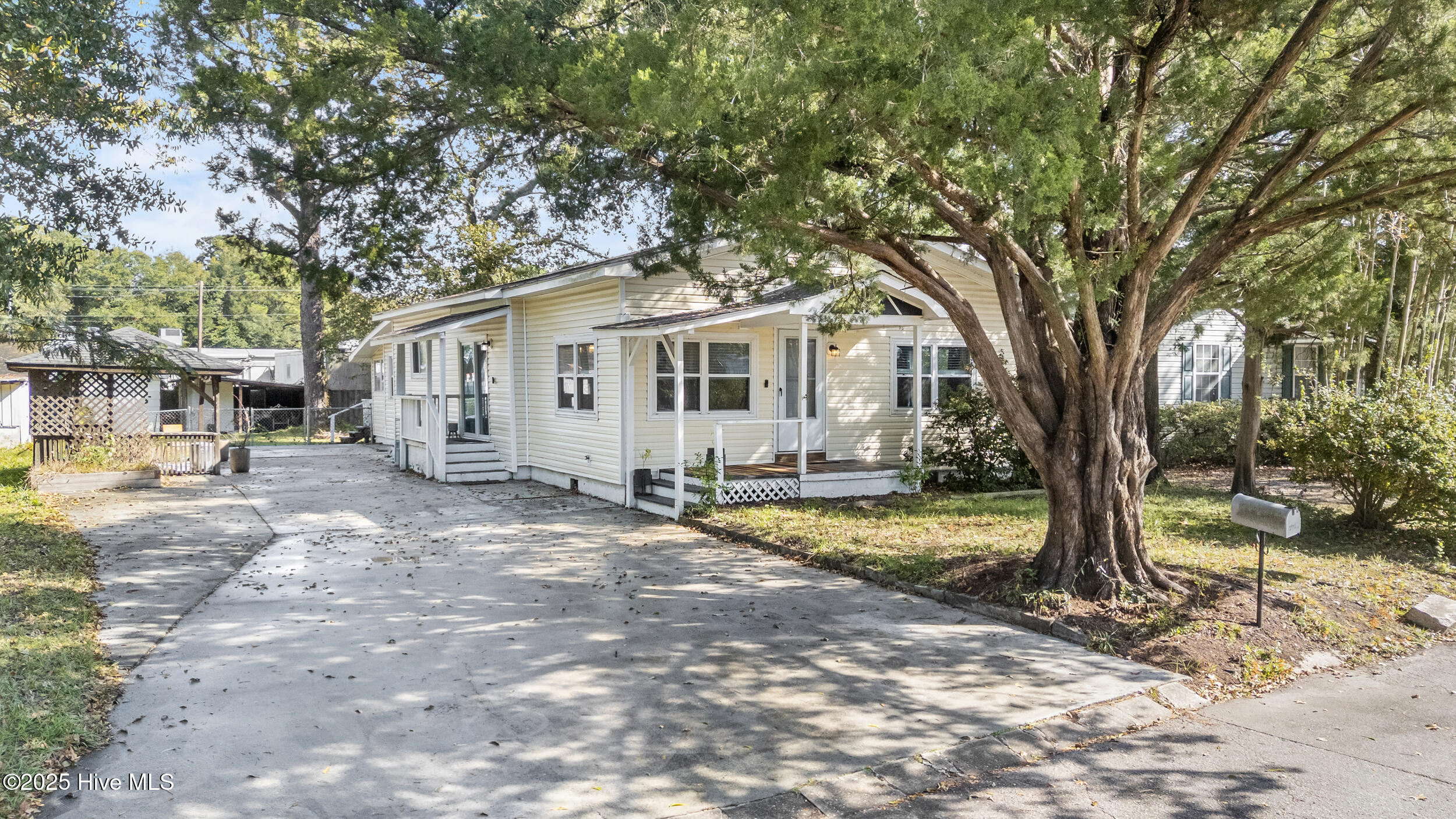 100520819 | Photo 21