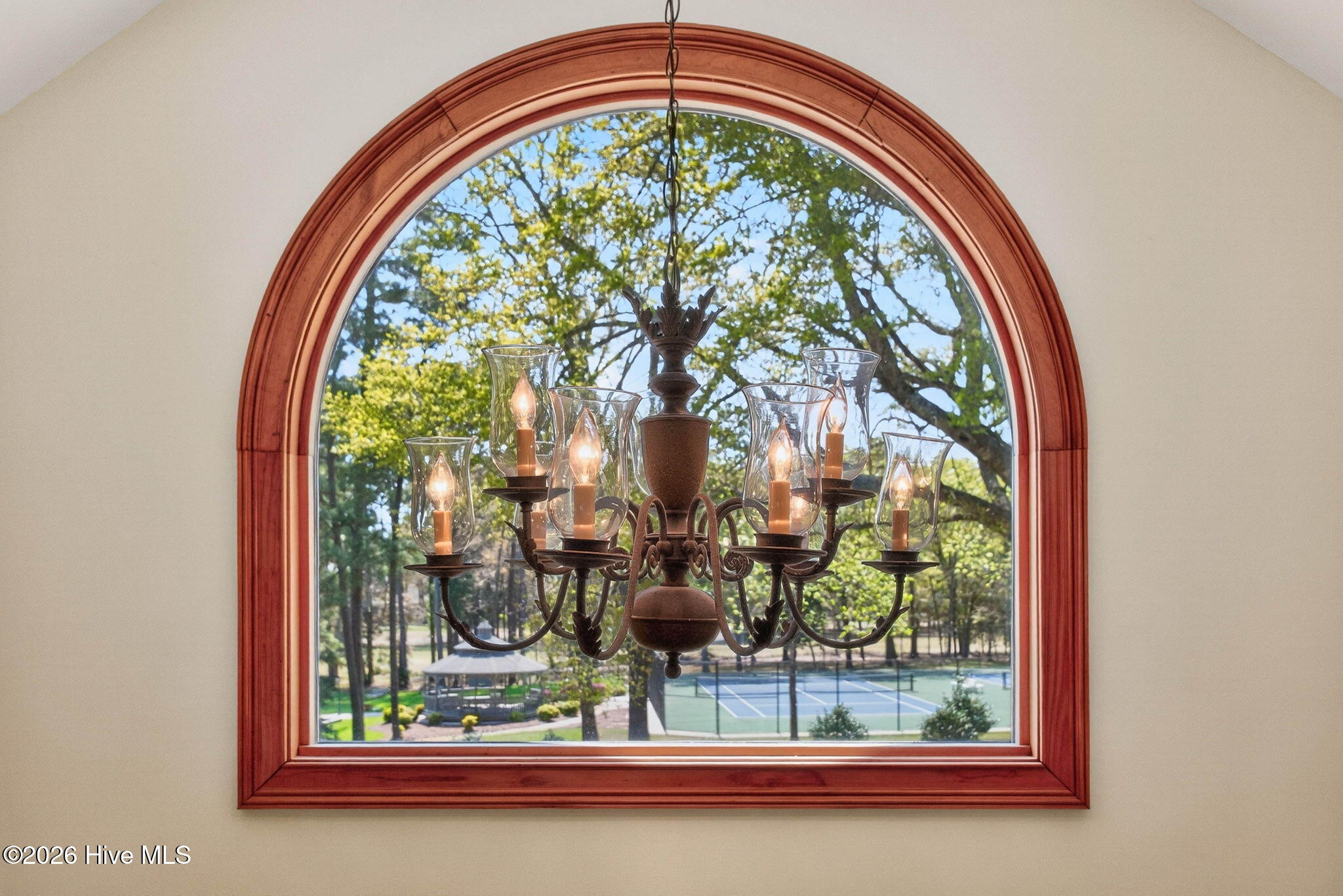 100564885 | Photo 52