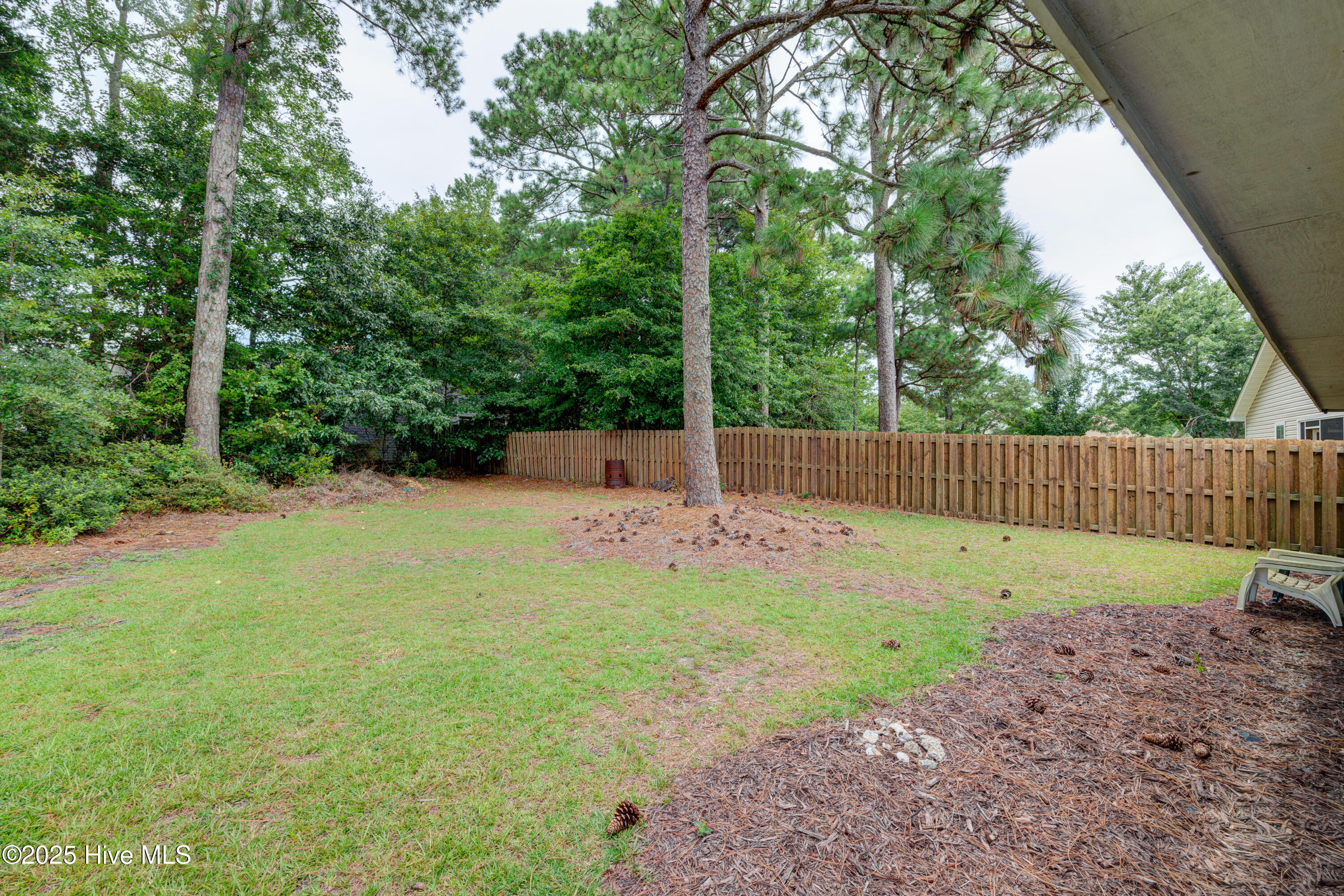 100524399 | Photo 35