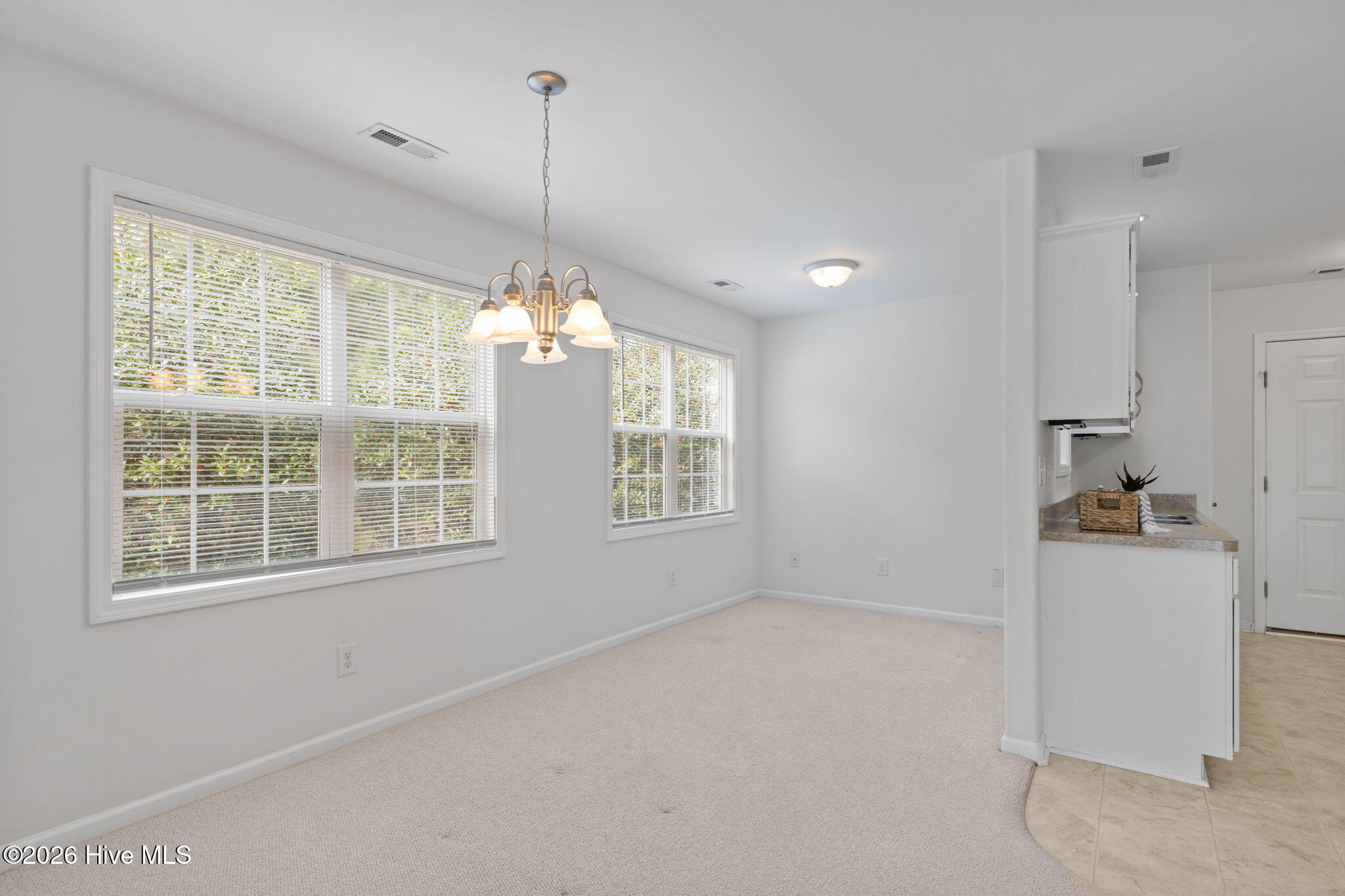 100559736 | Photo 13