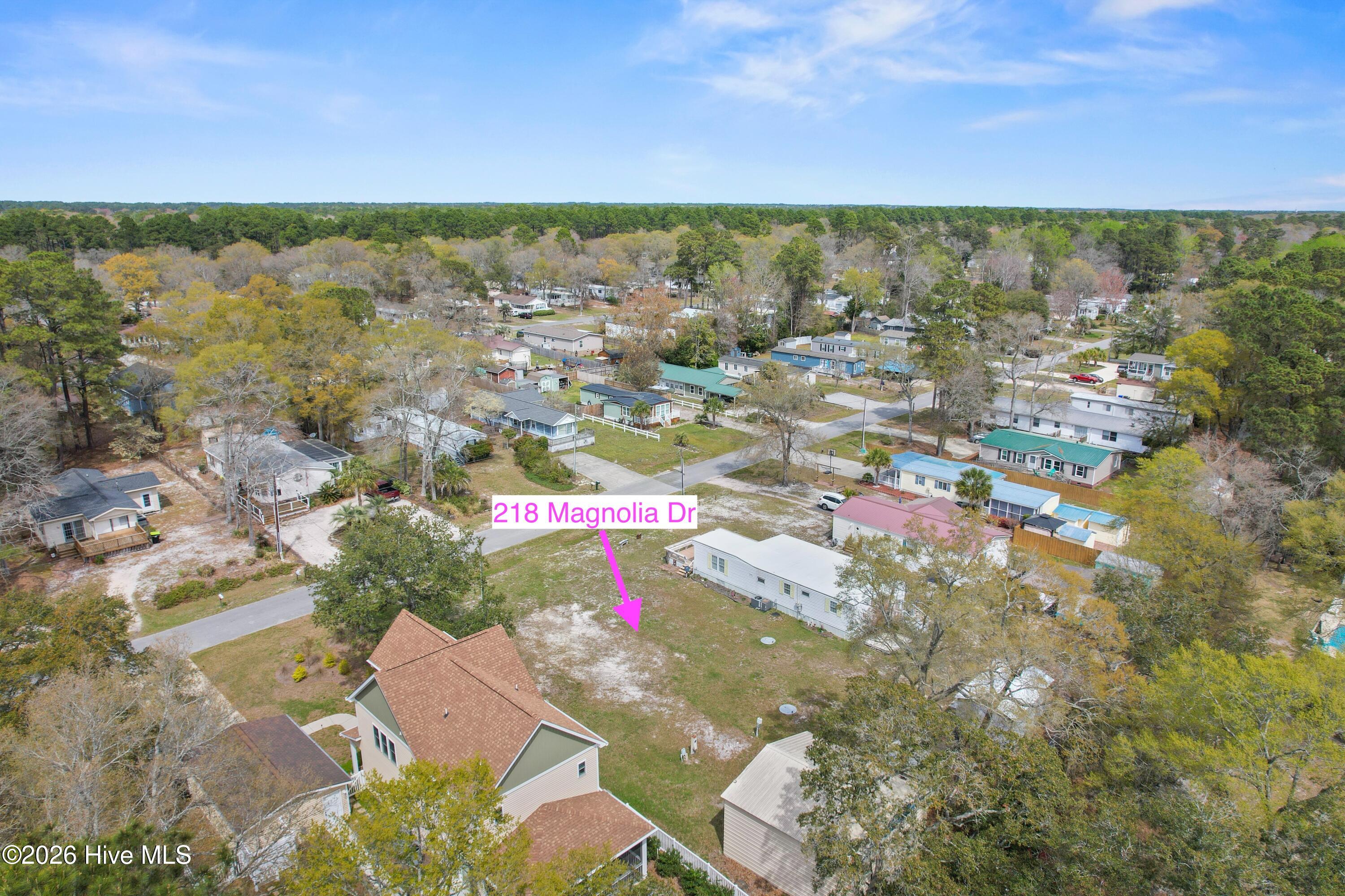 100563762 | Photo 39