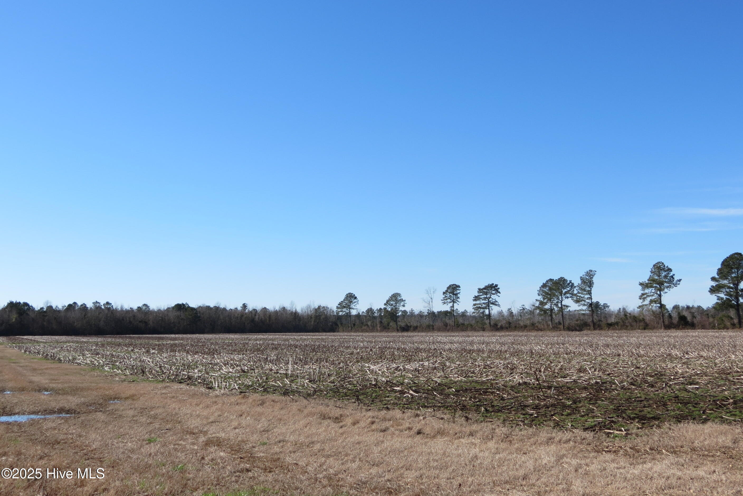 0 Neals Creek Road,Bayboro