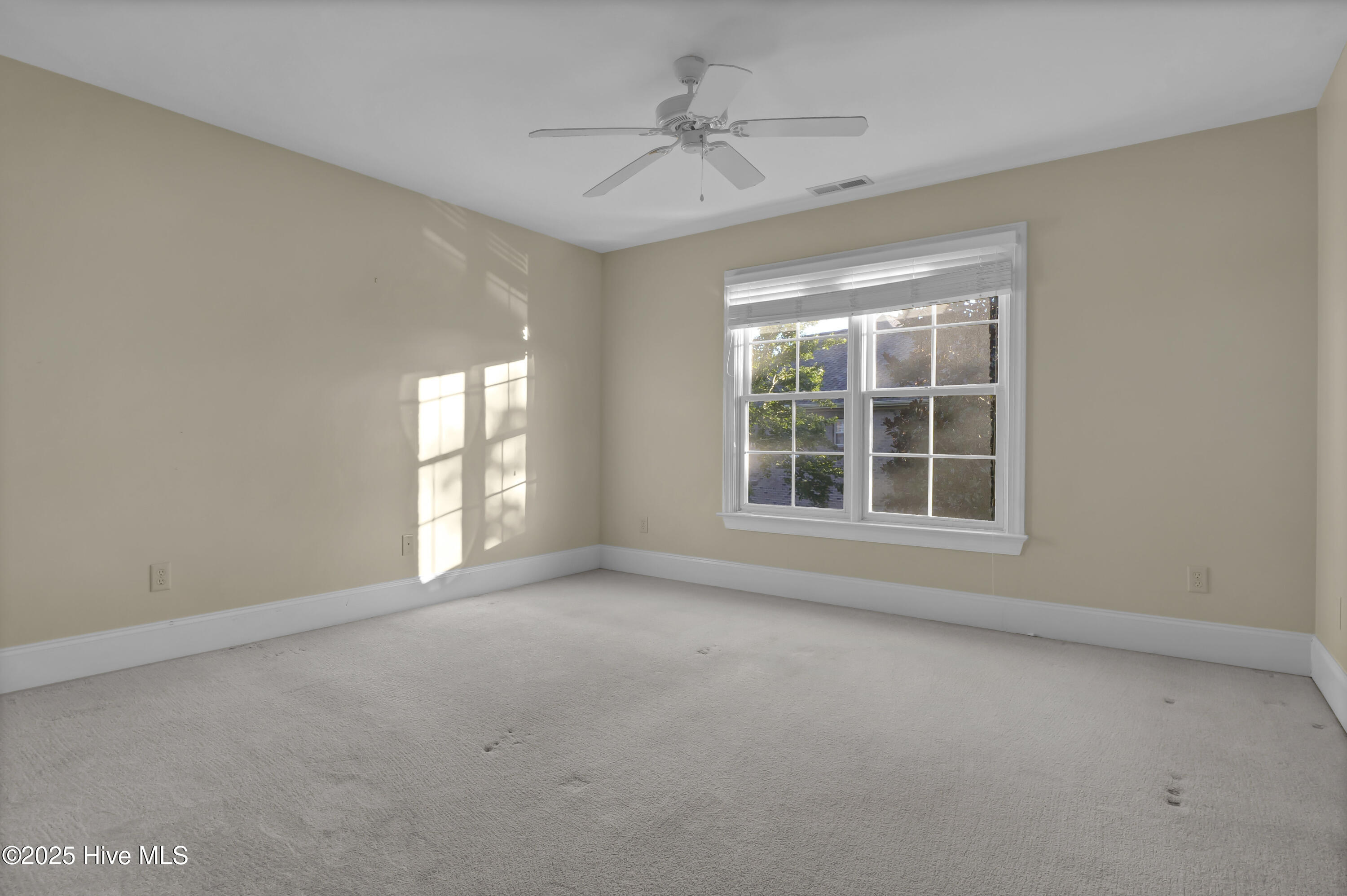 100535642 | Photo 45