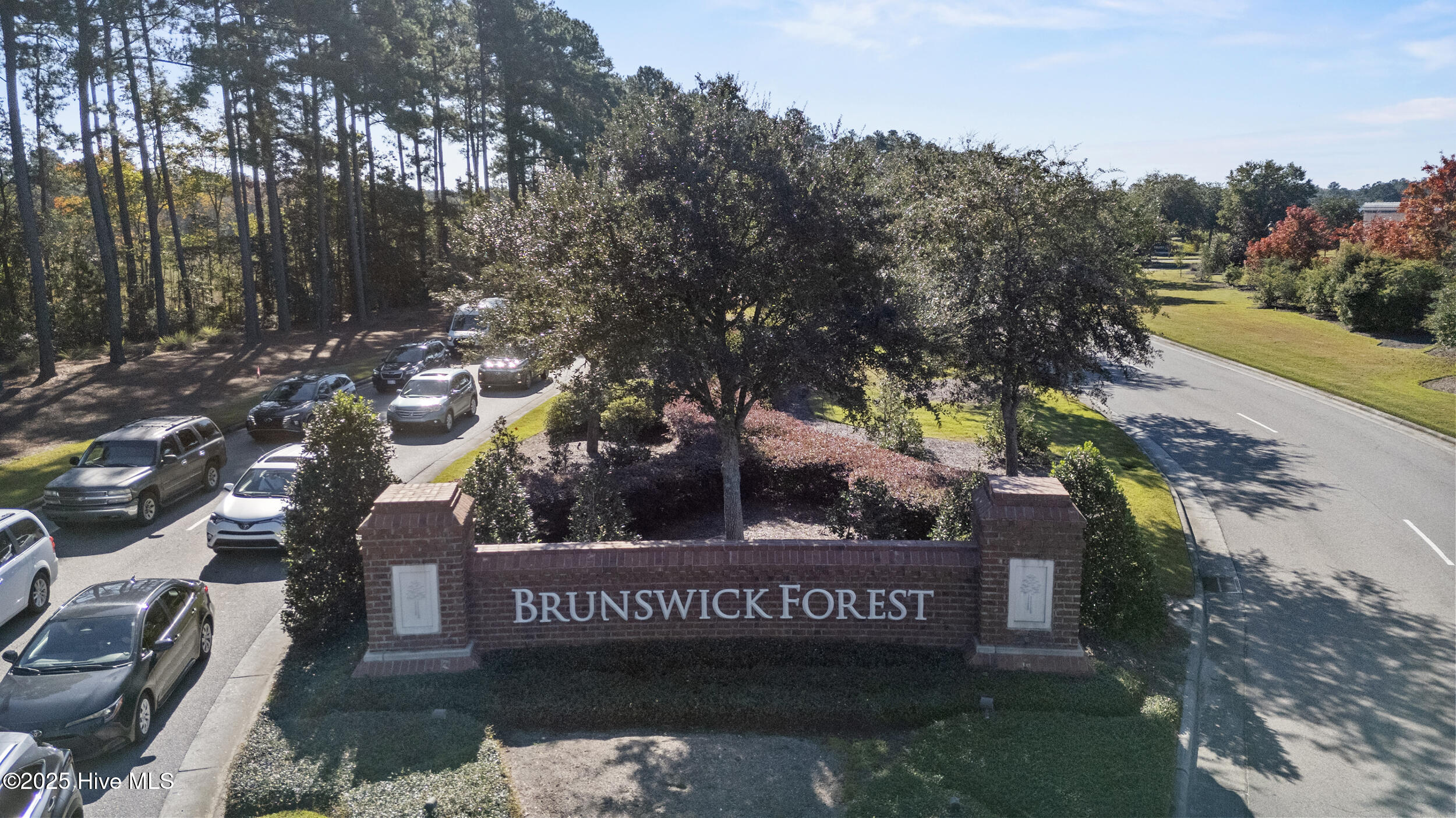 100537739 | Photo 39