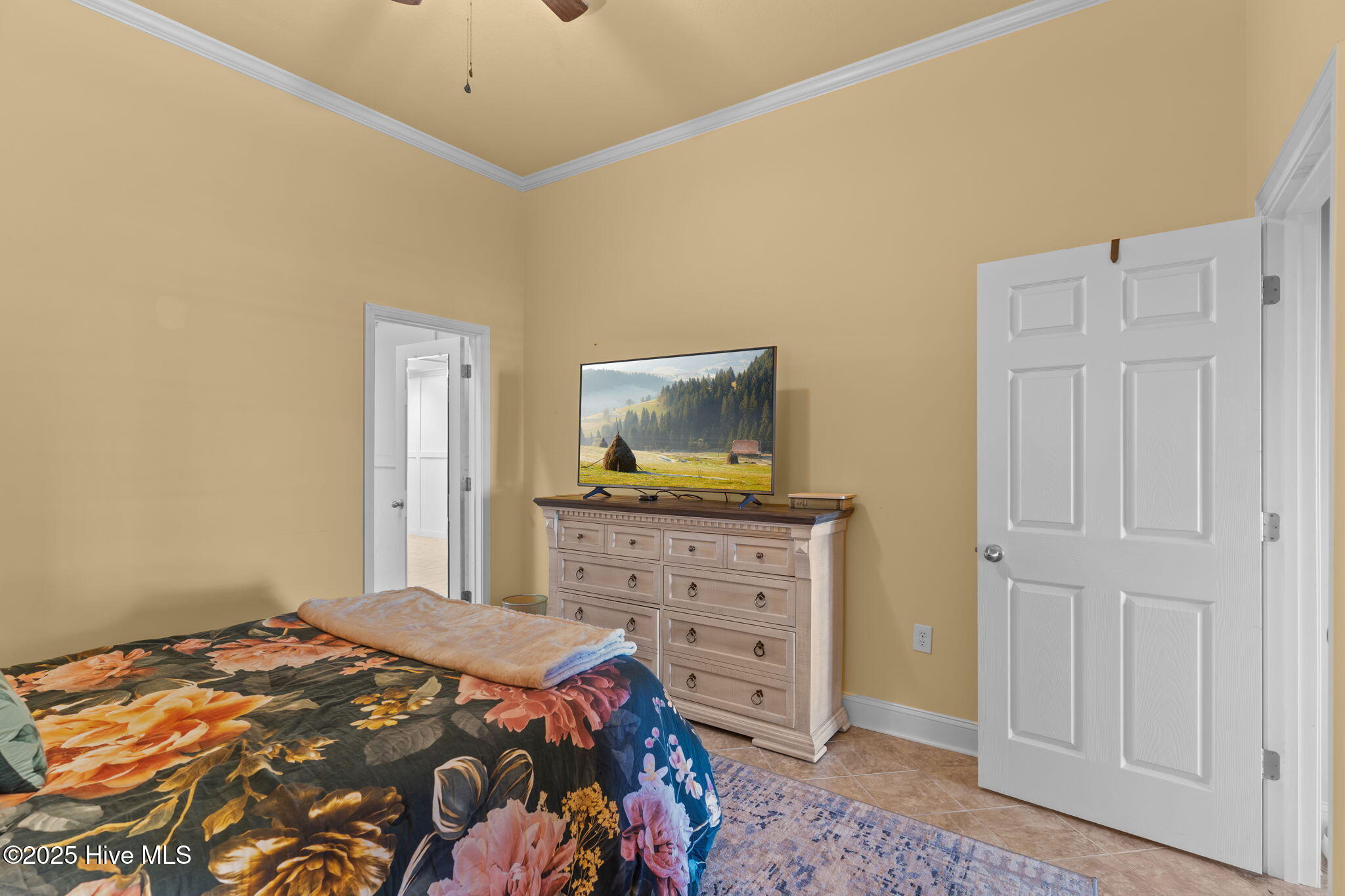 100540353 | Photo 29