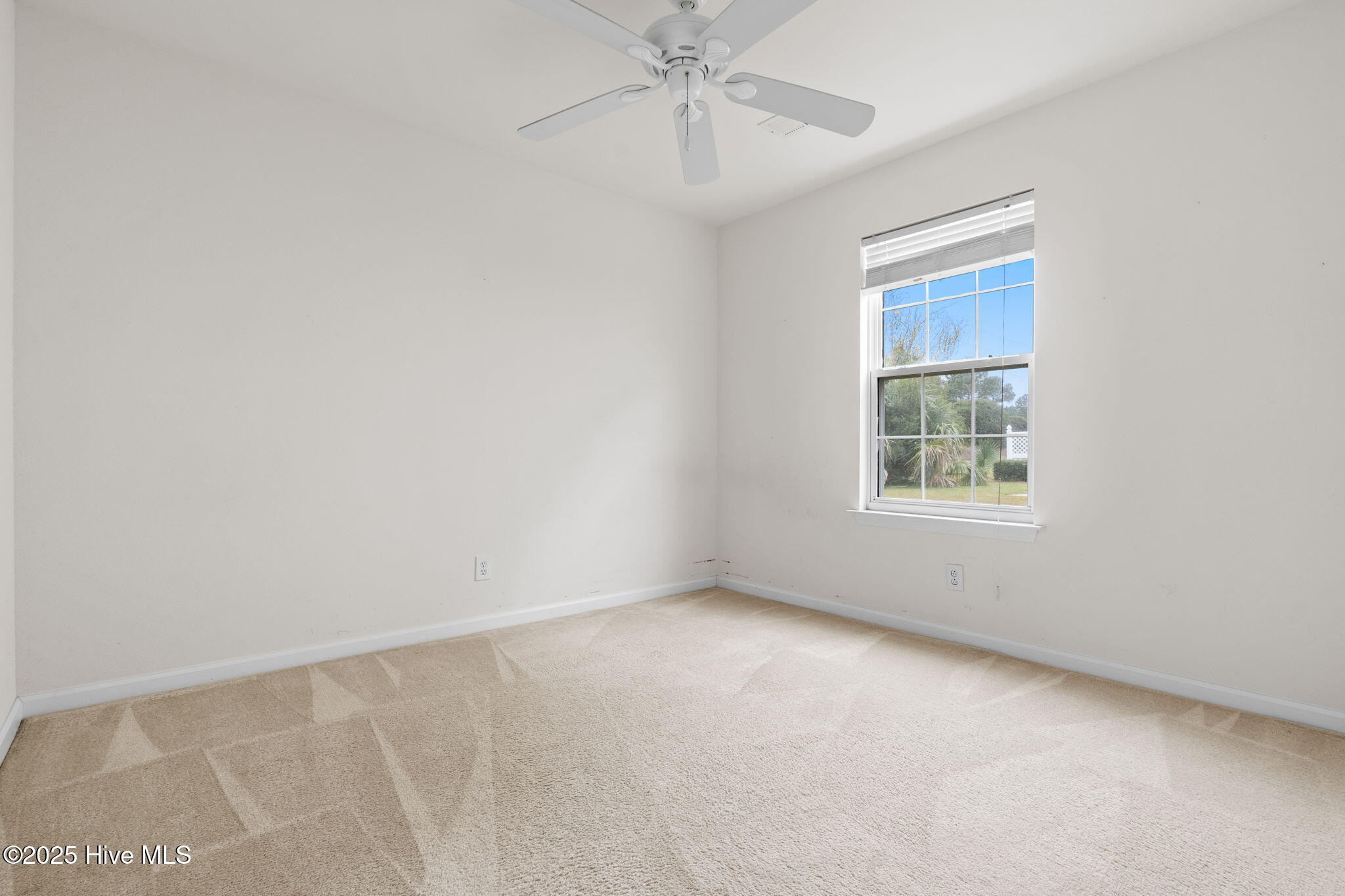 100536152 | Photo 38