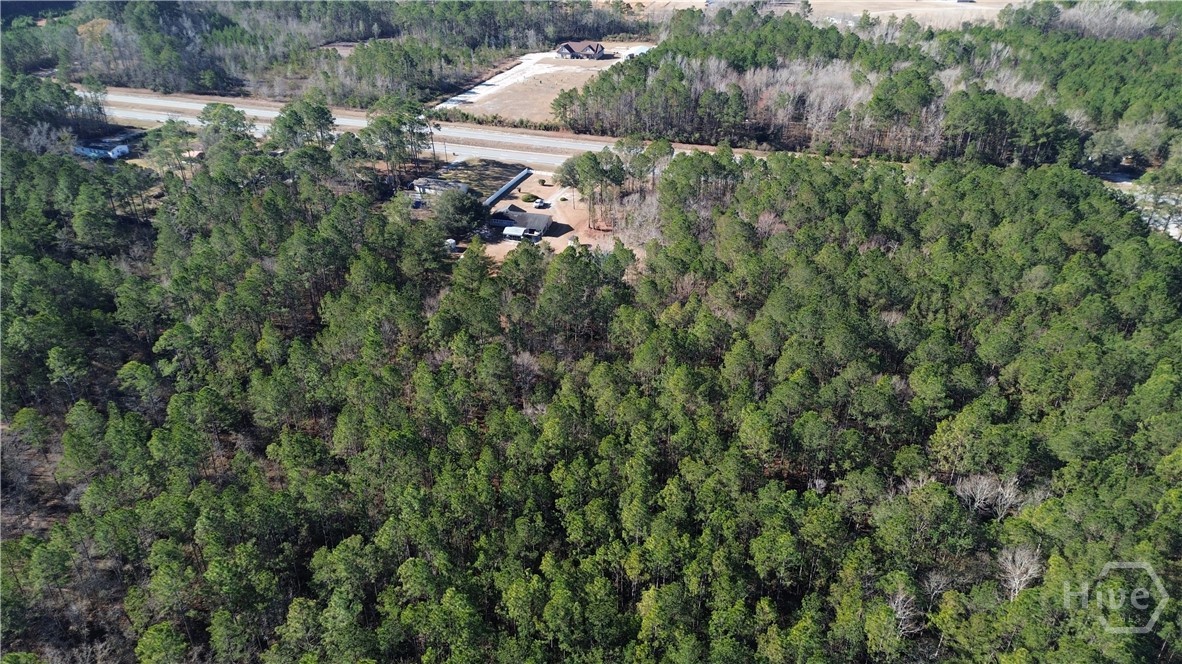 Homes for sale in Springfield, GA | 0 Hwy 21 N, Springfield, GA 31329 | MLS# SA349590