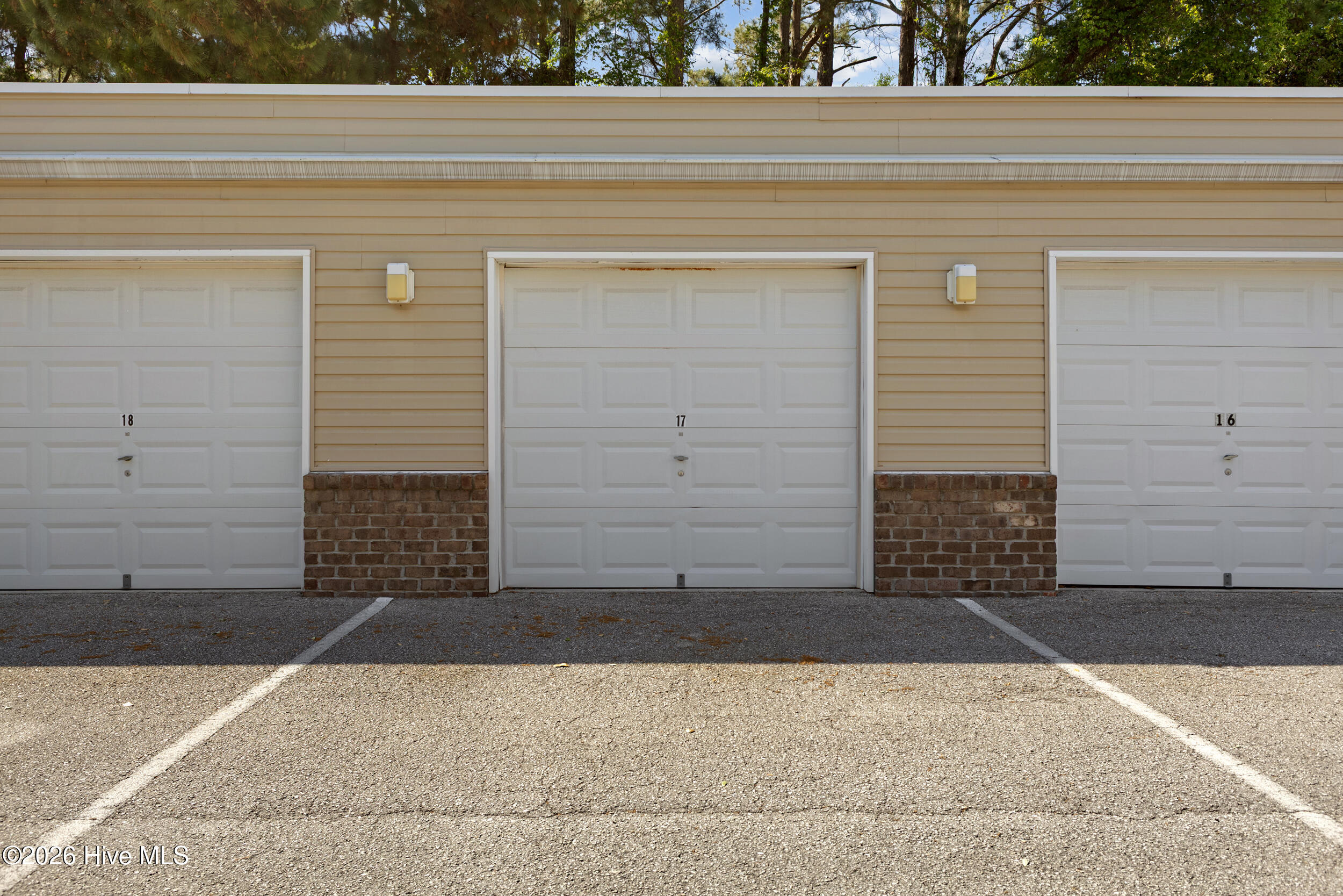 100567739 | Photo 16