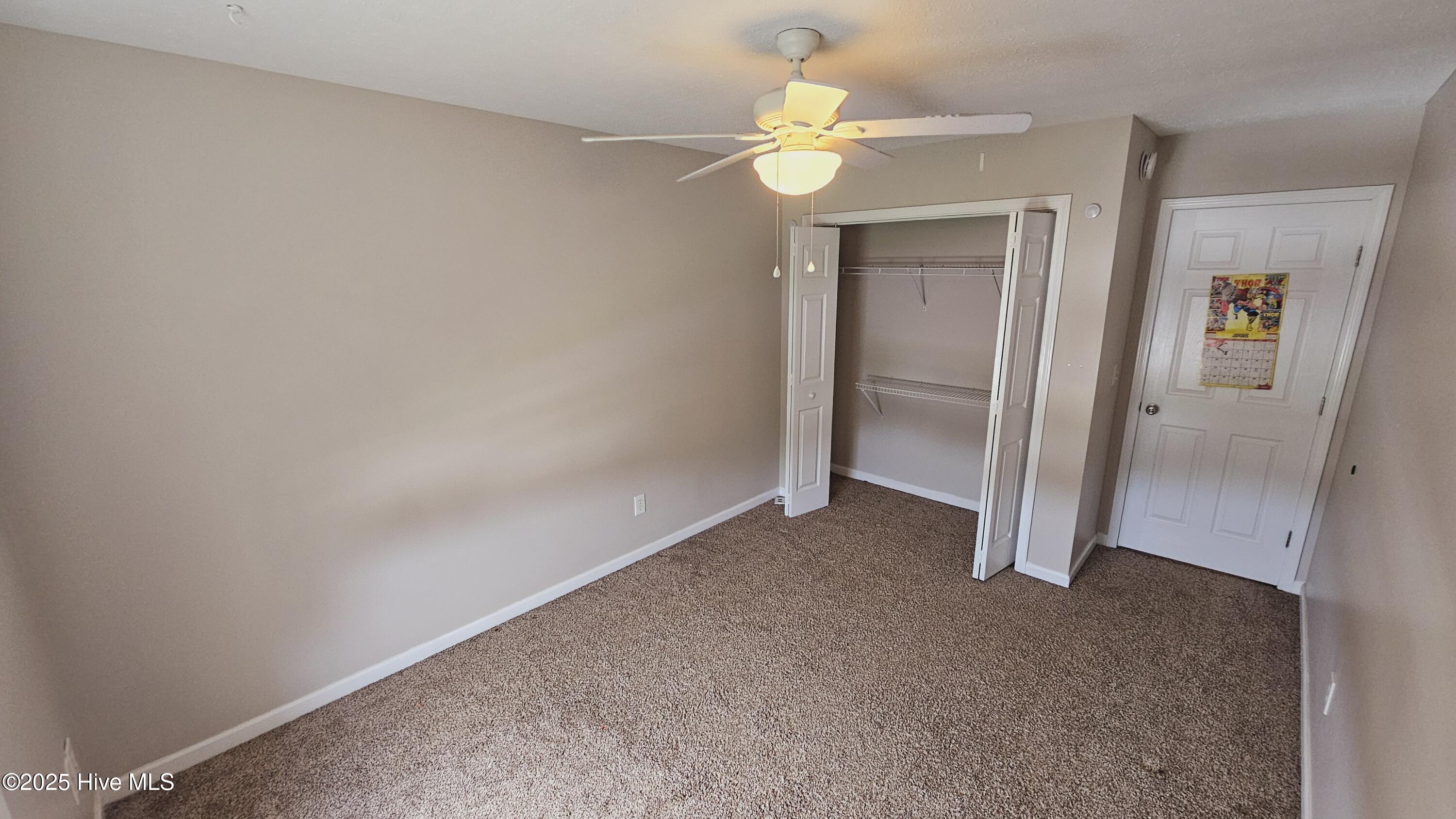 100565792 | Photo 17