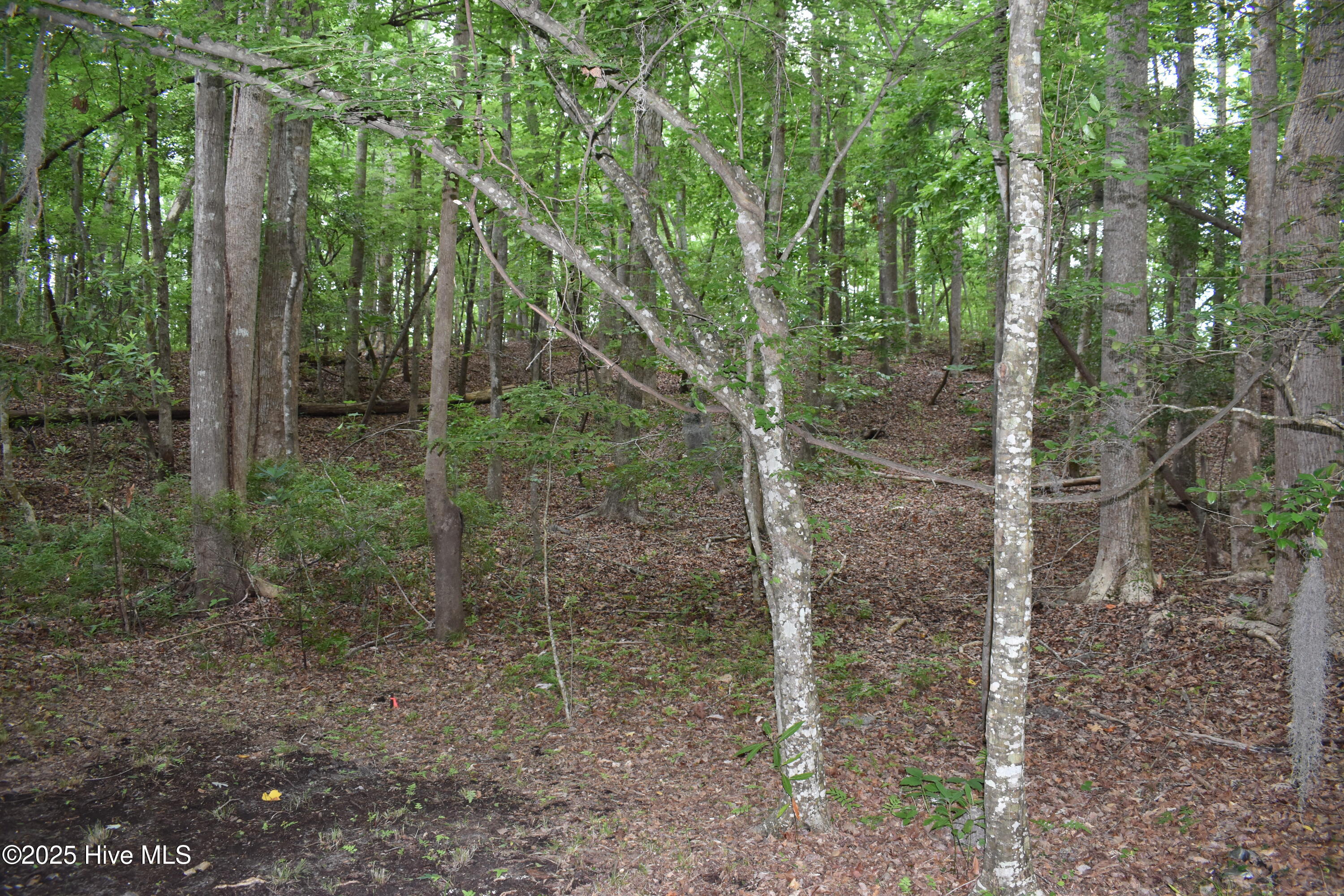 Homes for sale in Blounts Creek, NC | Lot 6 River Rd, Blounts Creek, NC 27814 | MLS# 100512257