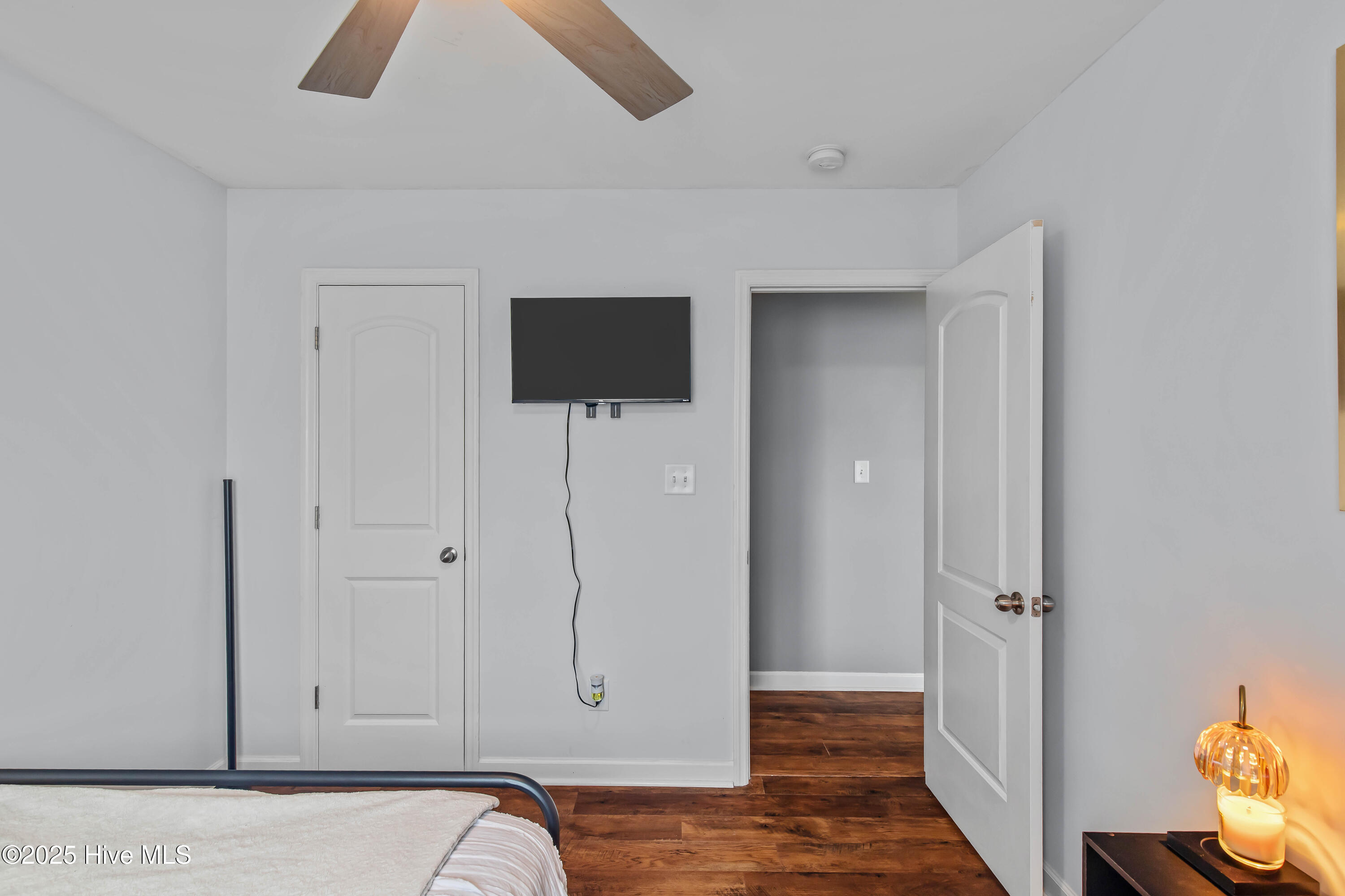 100534497 | Photo 29