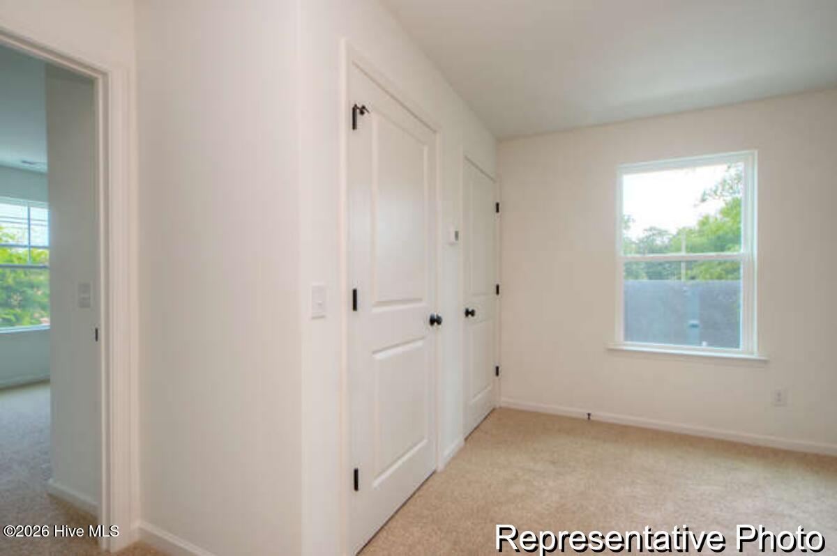 100558082 | Photo 23