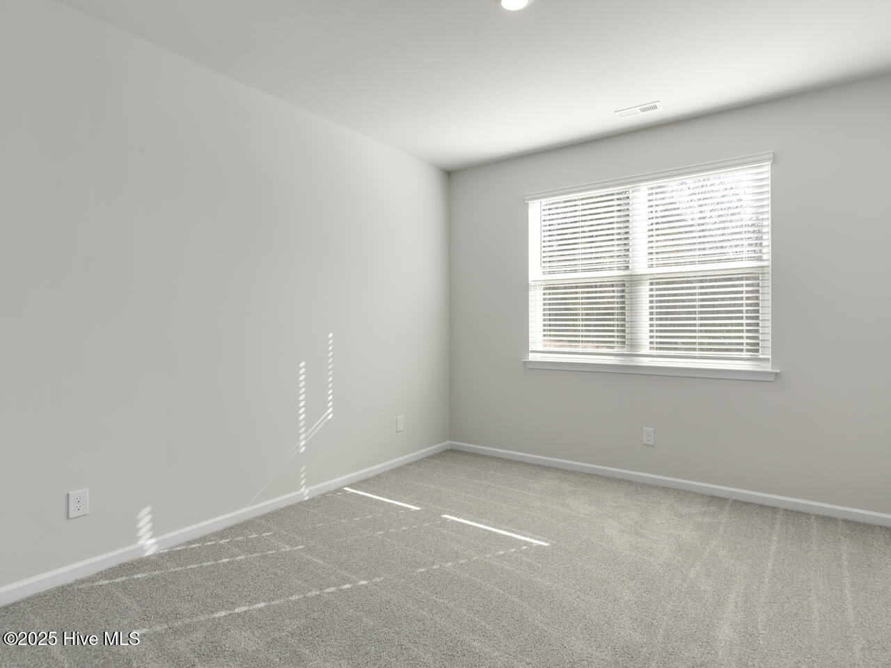 100554624 | Photo 61