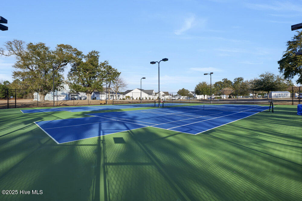 100543264 | Photo 65