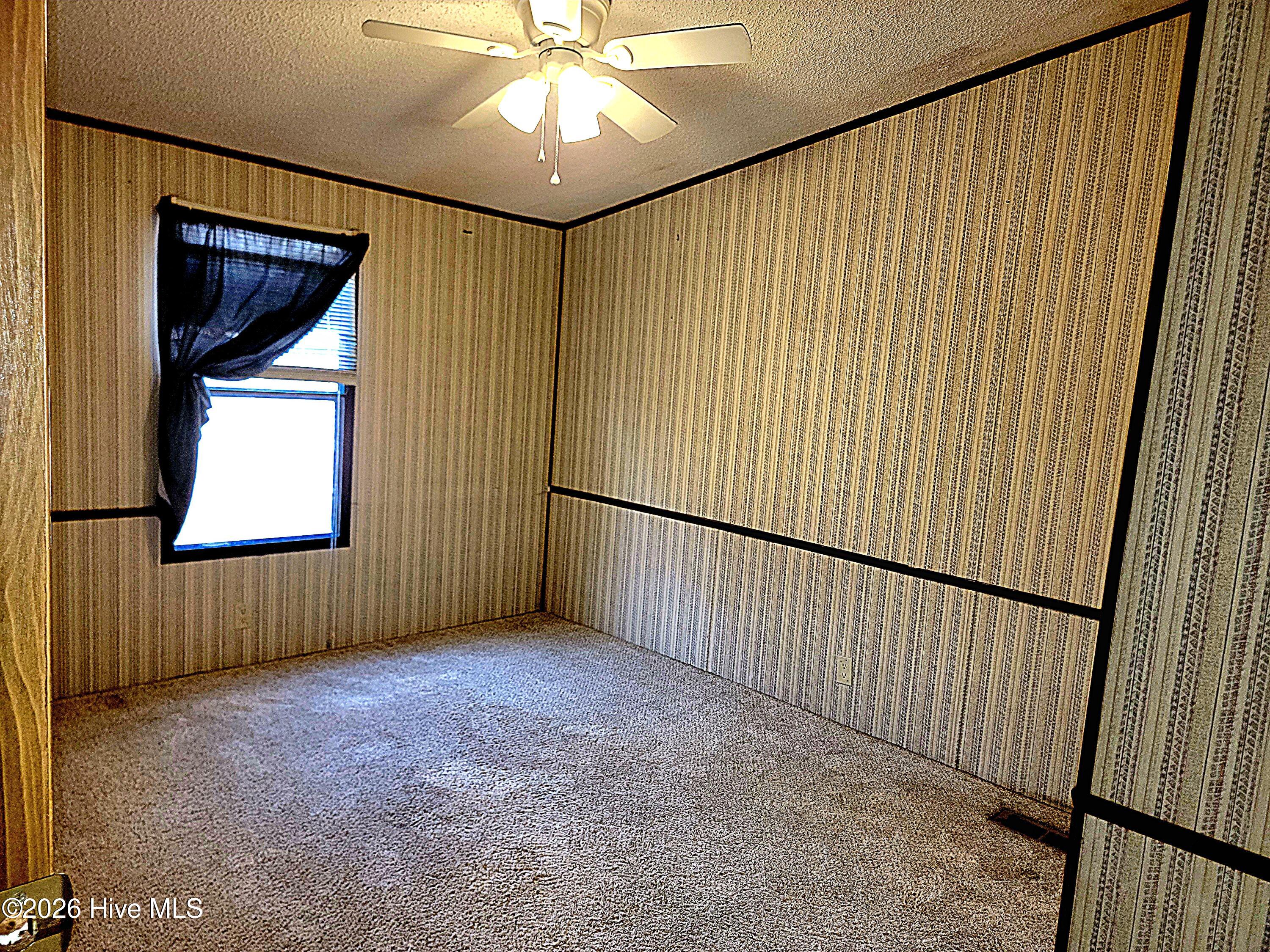 100551127 | Photo 27