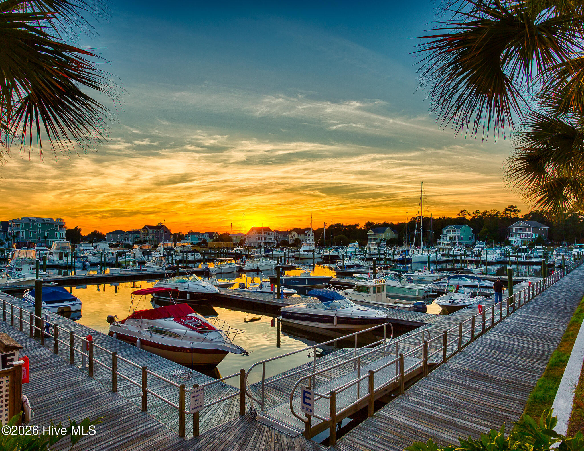 100518693 | Photo 62