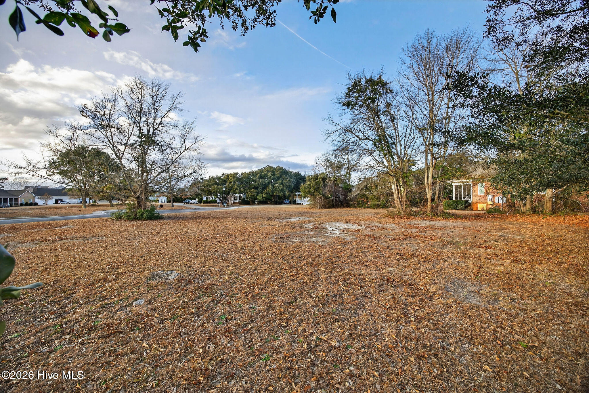 100550857 | Photo 11