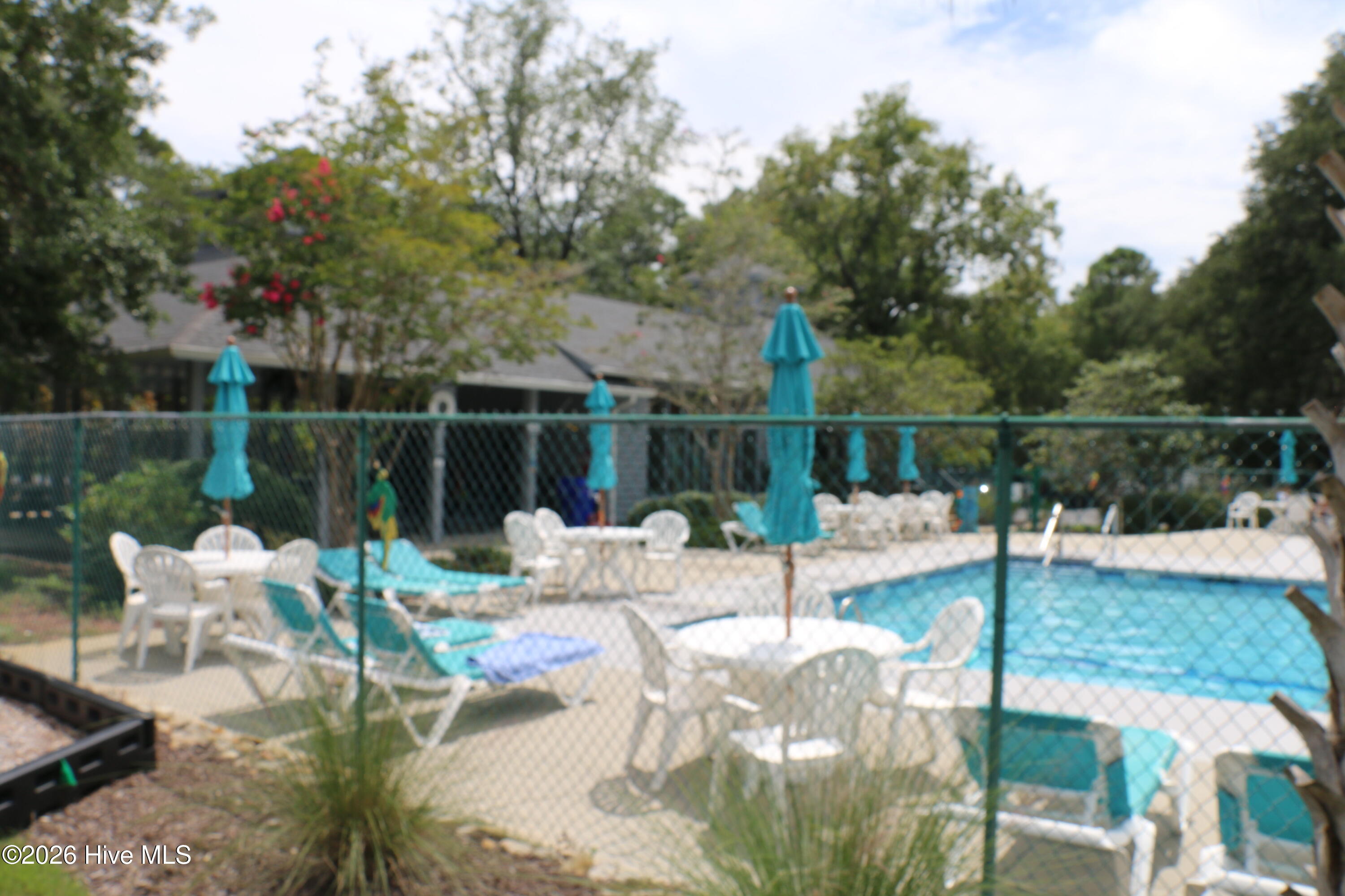 100562125 | Photo 19