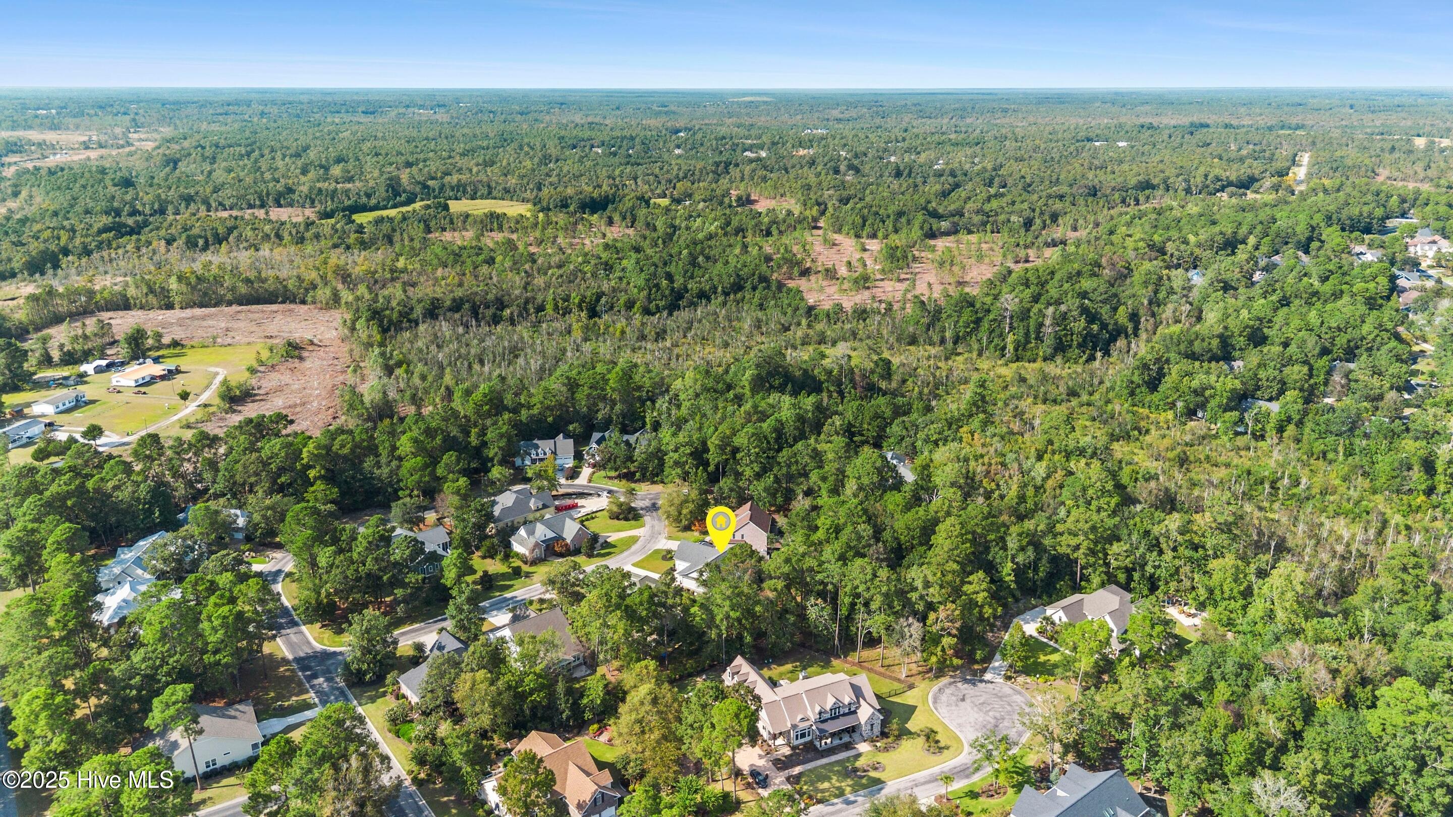 100558361 | Photo 116