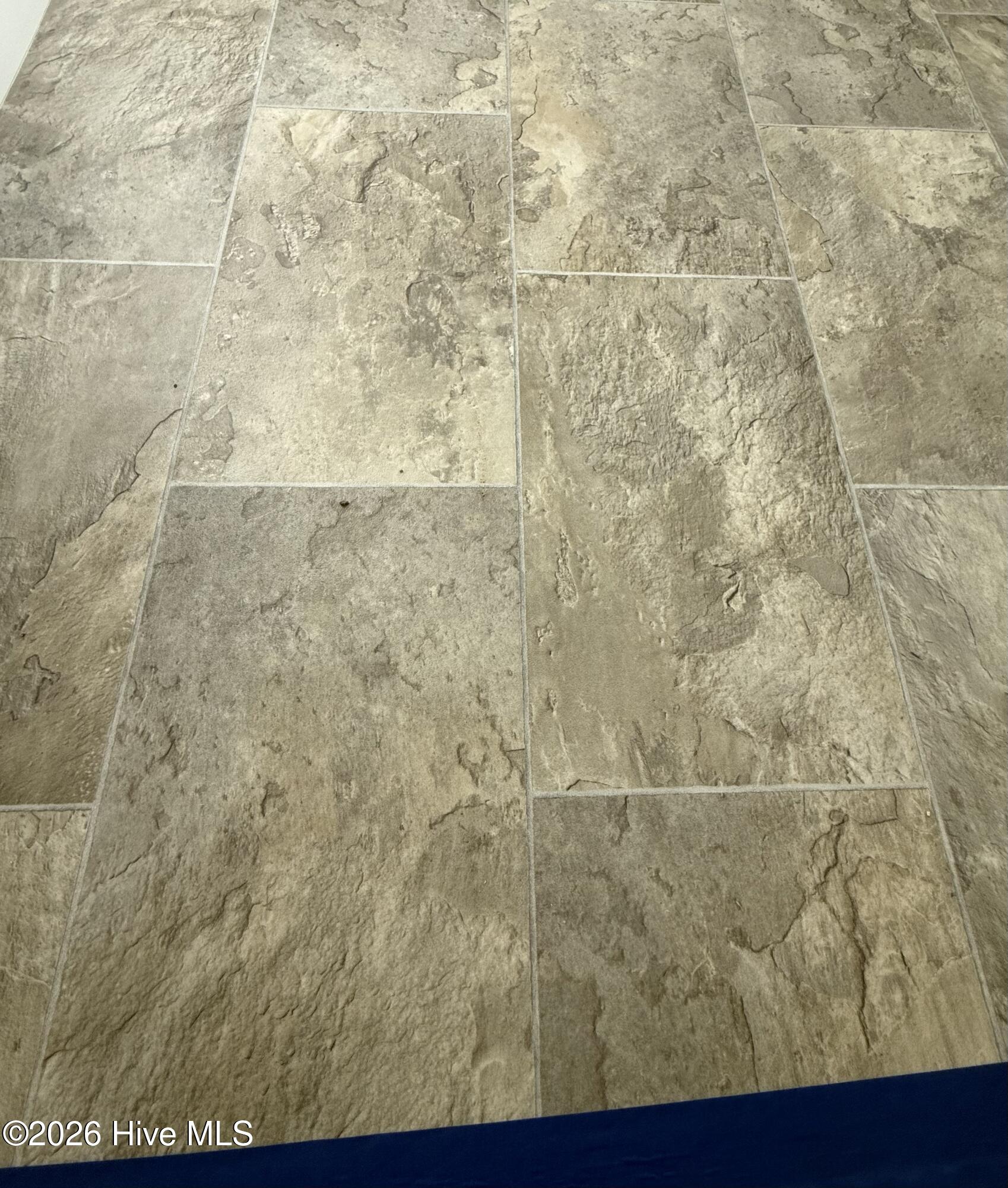 100546686 | Photo 17