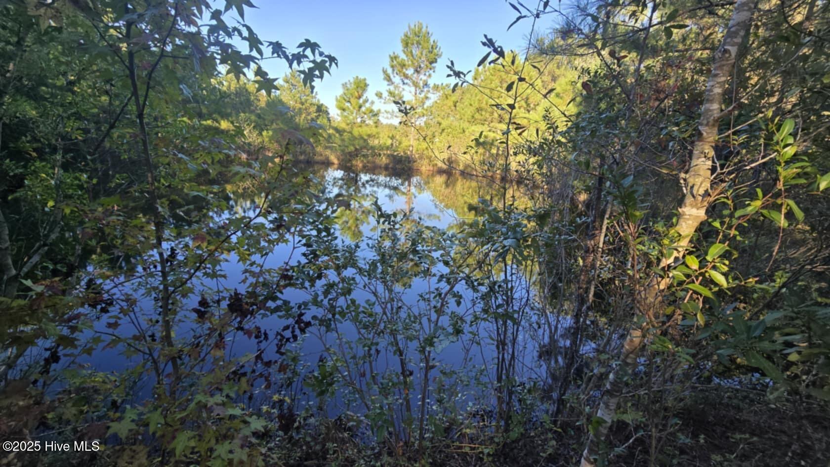 100538162 | Photo 14