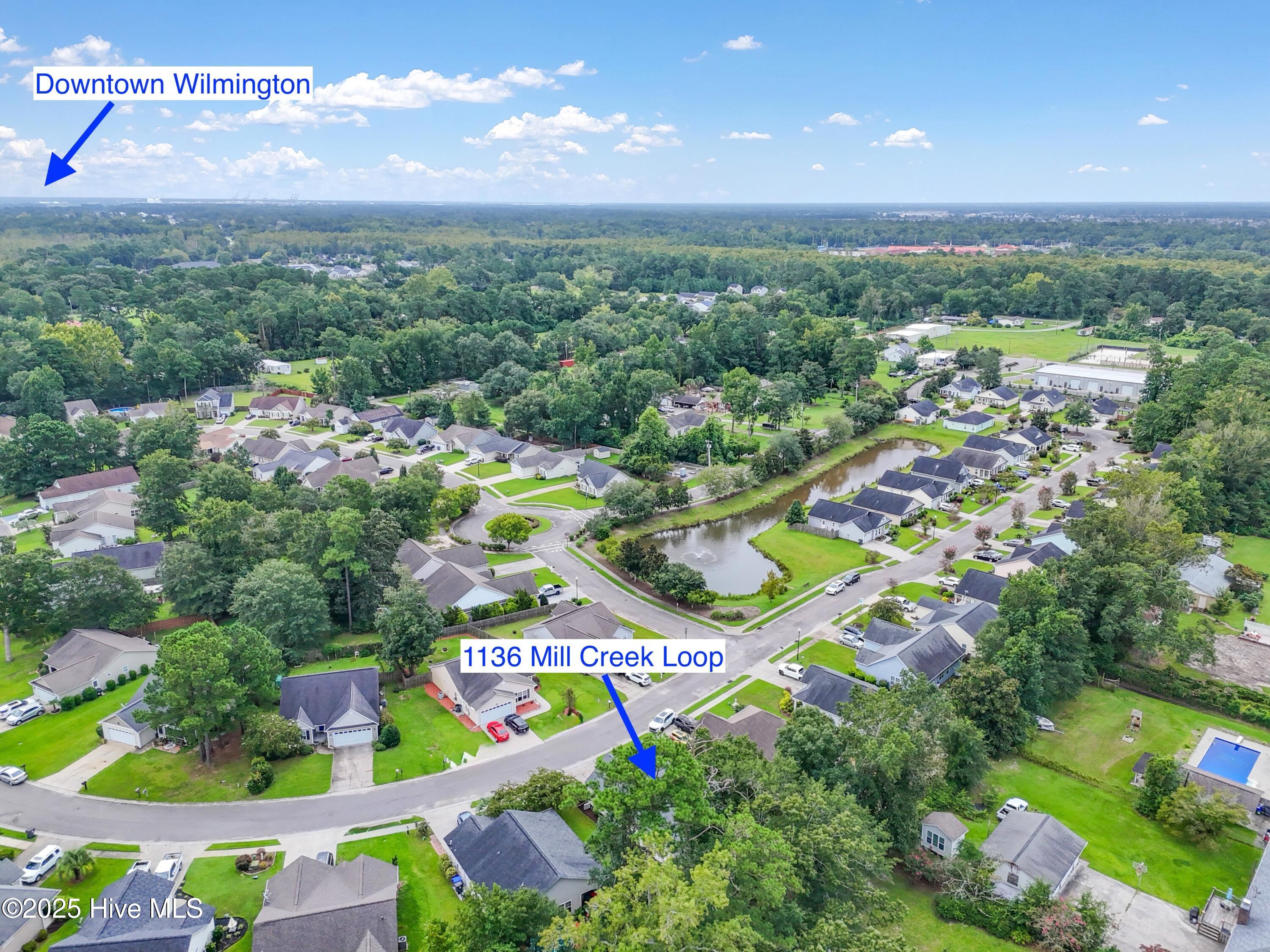 100527568 | Photo 45