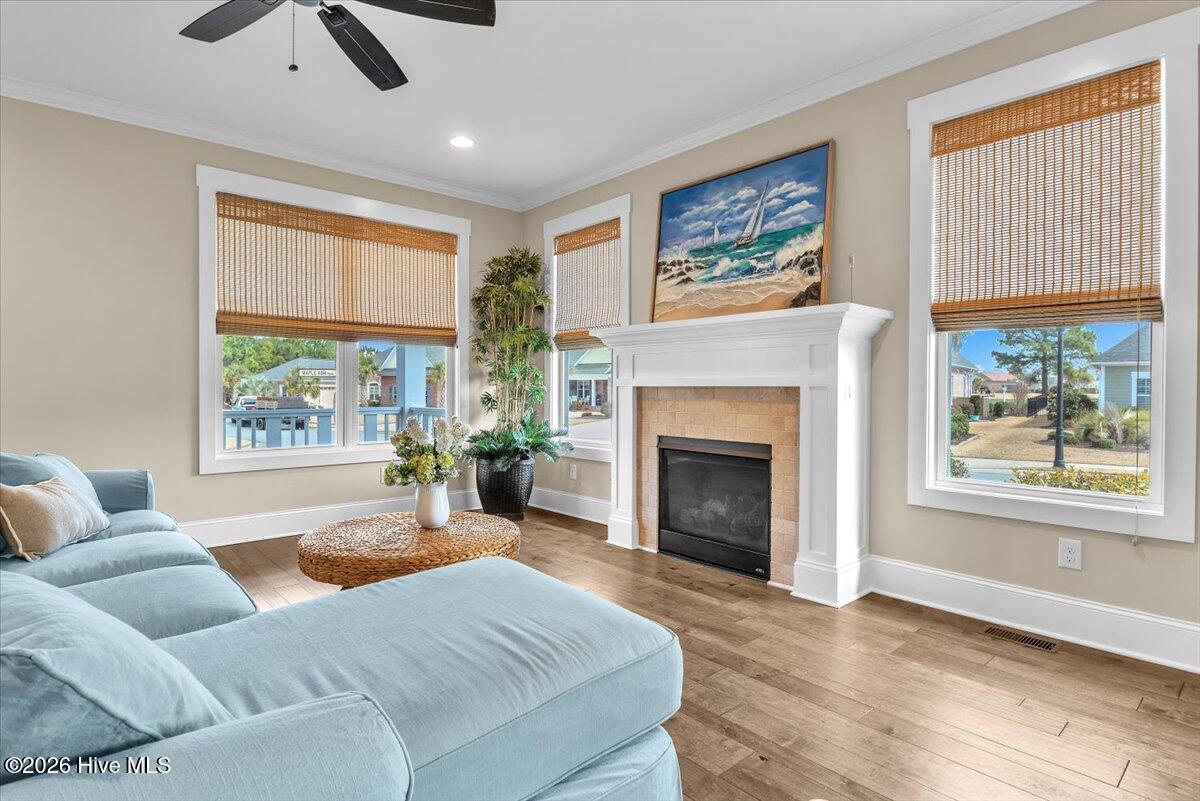 100558839 | Photo 18