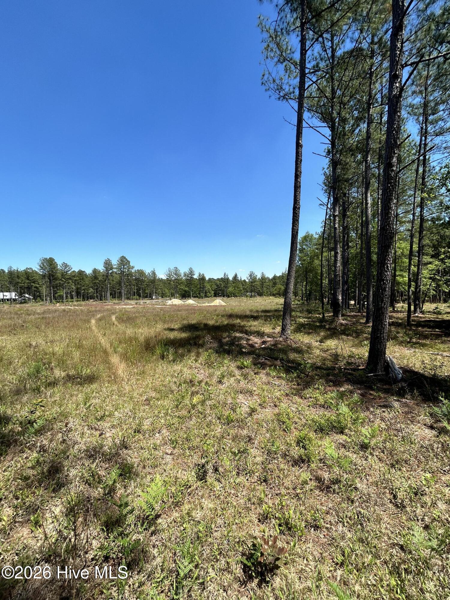 Homes for sale in Aberdeen, NC | 461 Lally Cir, Aberdeen, NC 28315 | MLS# 100589106