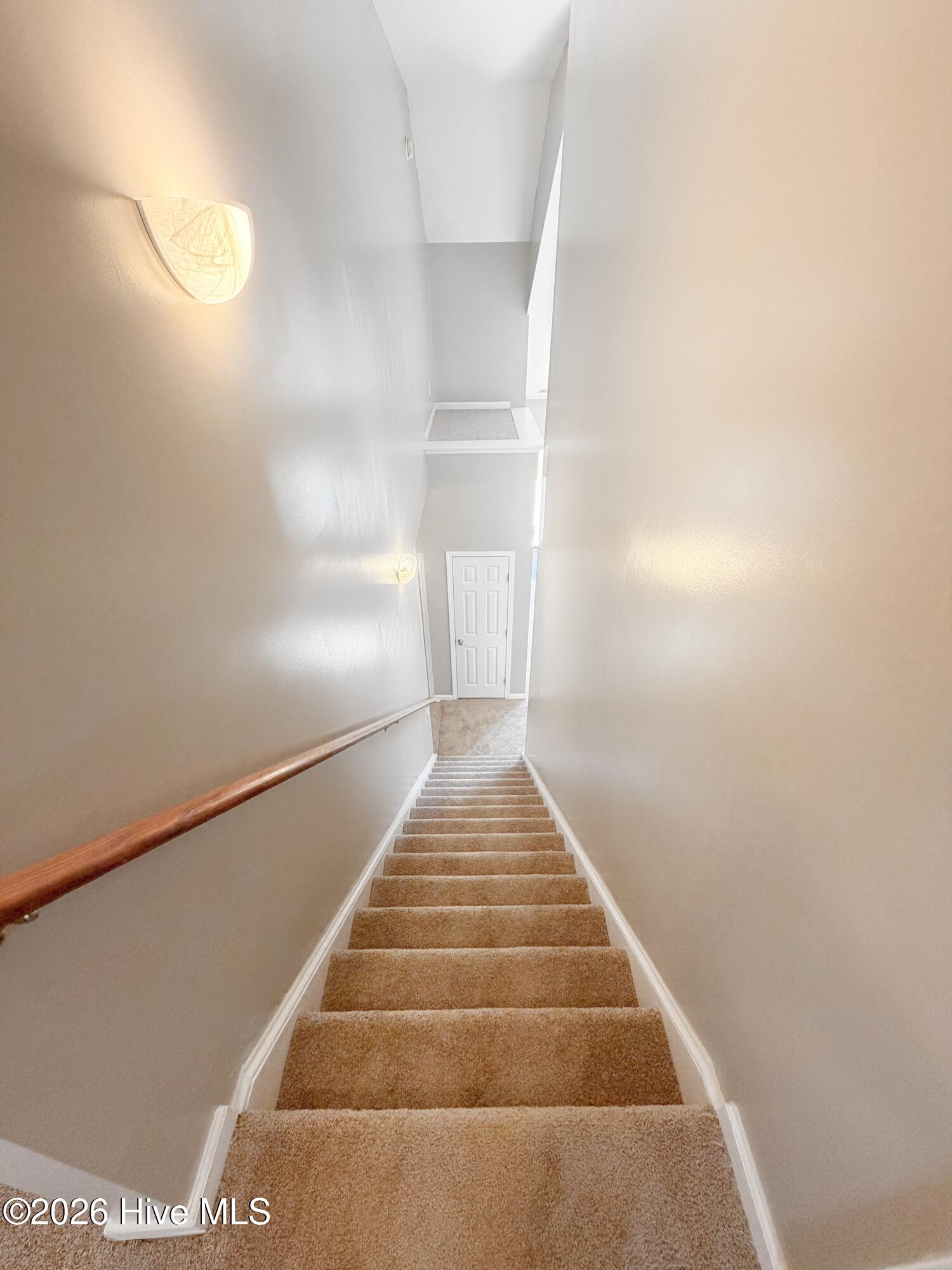 100547389 | Photo 28