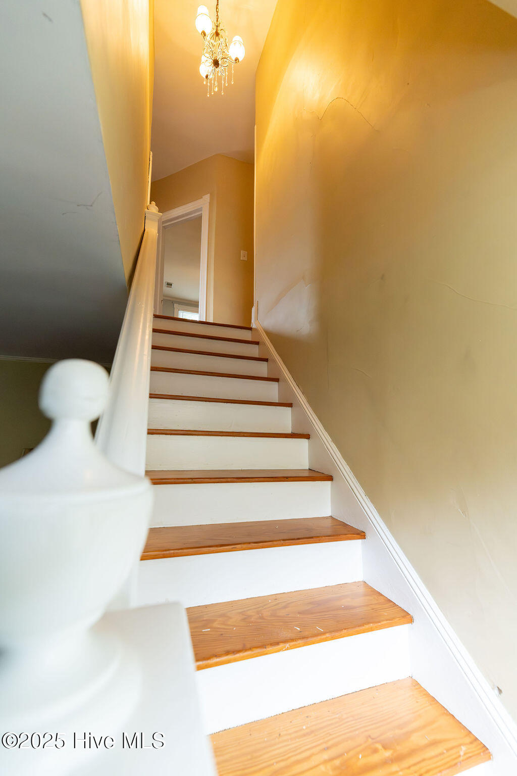 301 N Granville Street, Edenton, NC, 27932