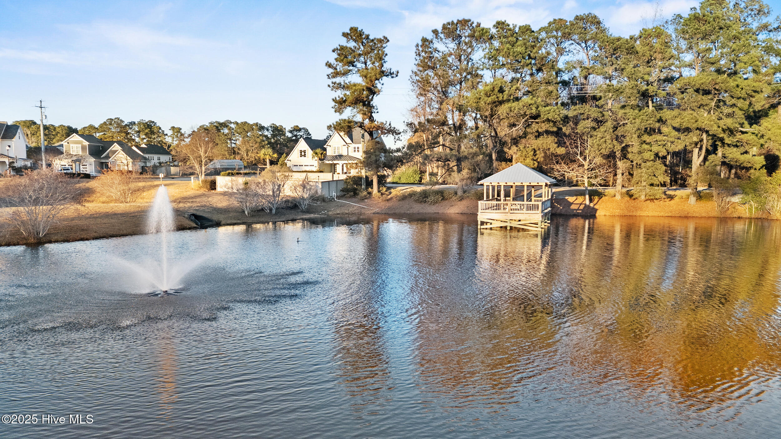 100545820 | Photo 46