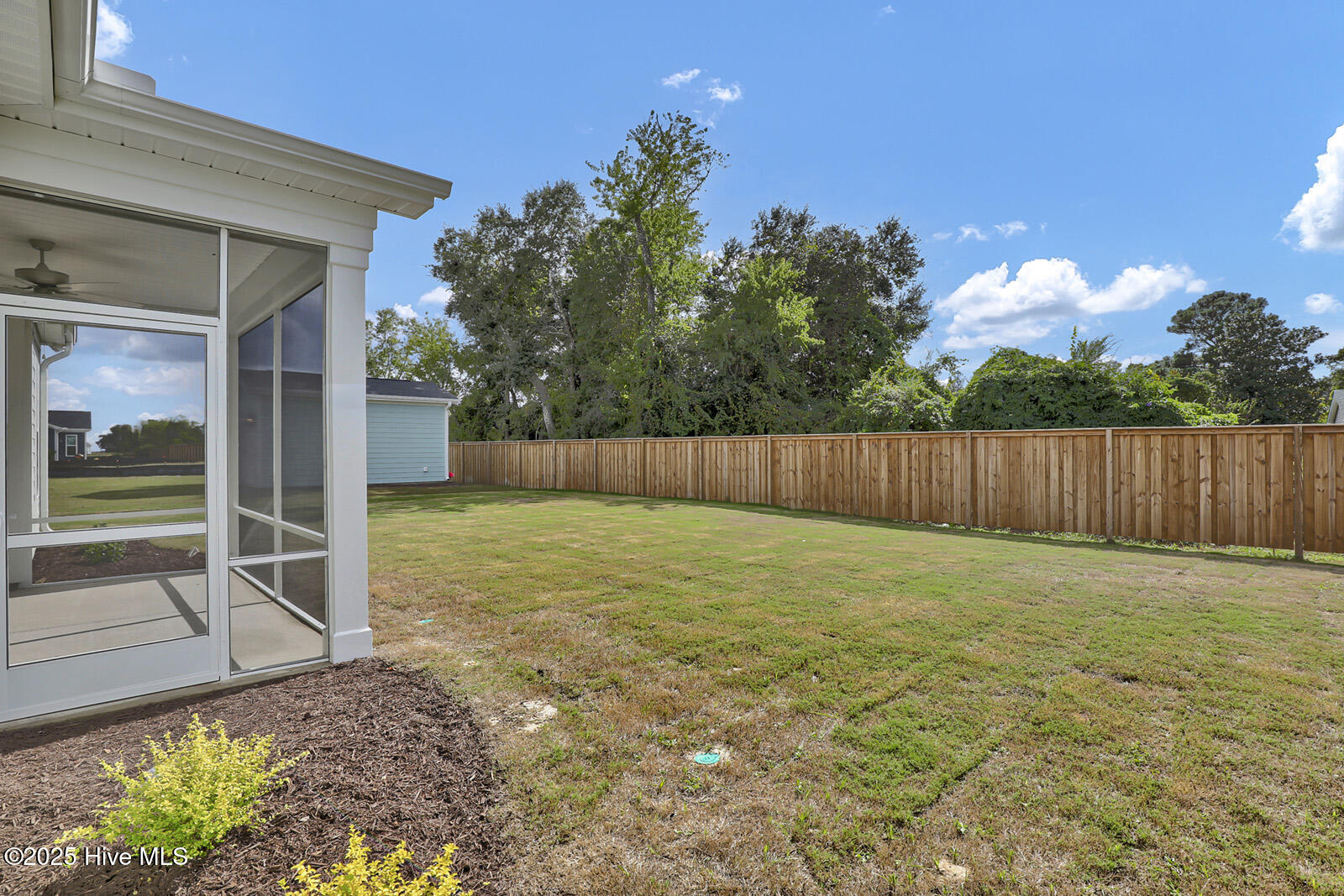 100514994 | Photo 23