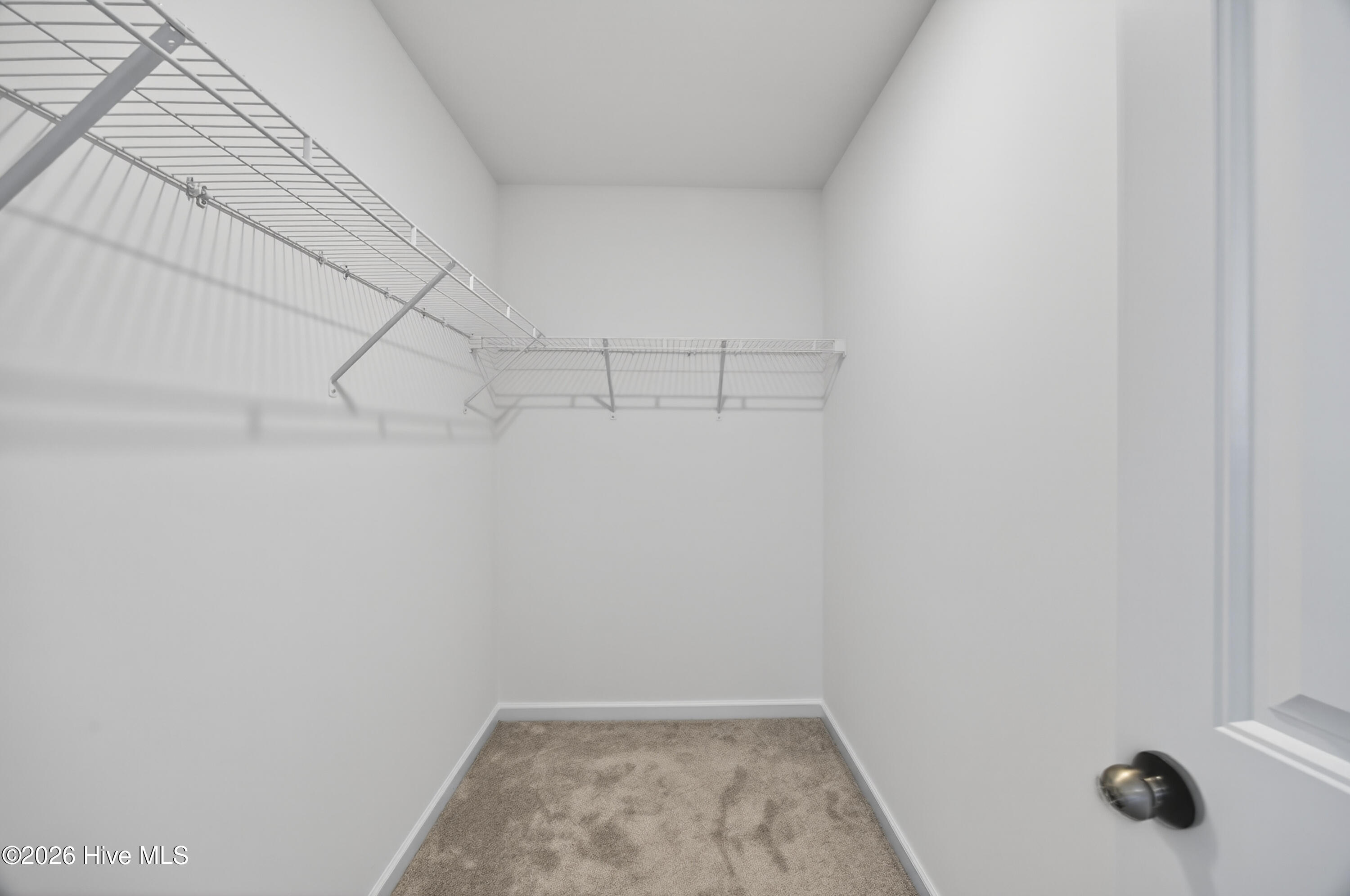 100553083 | Photo 22