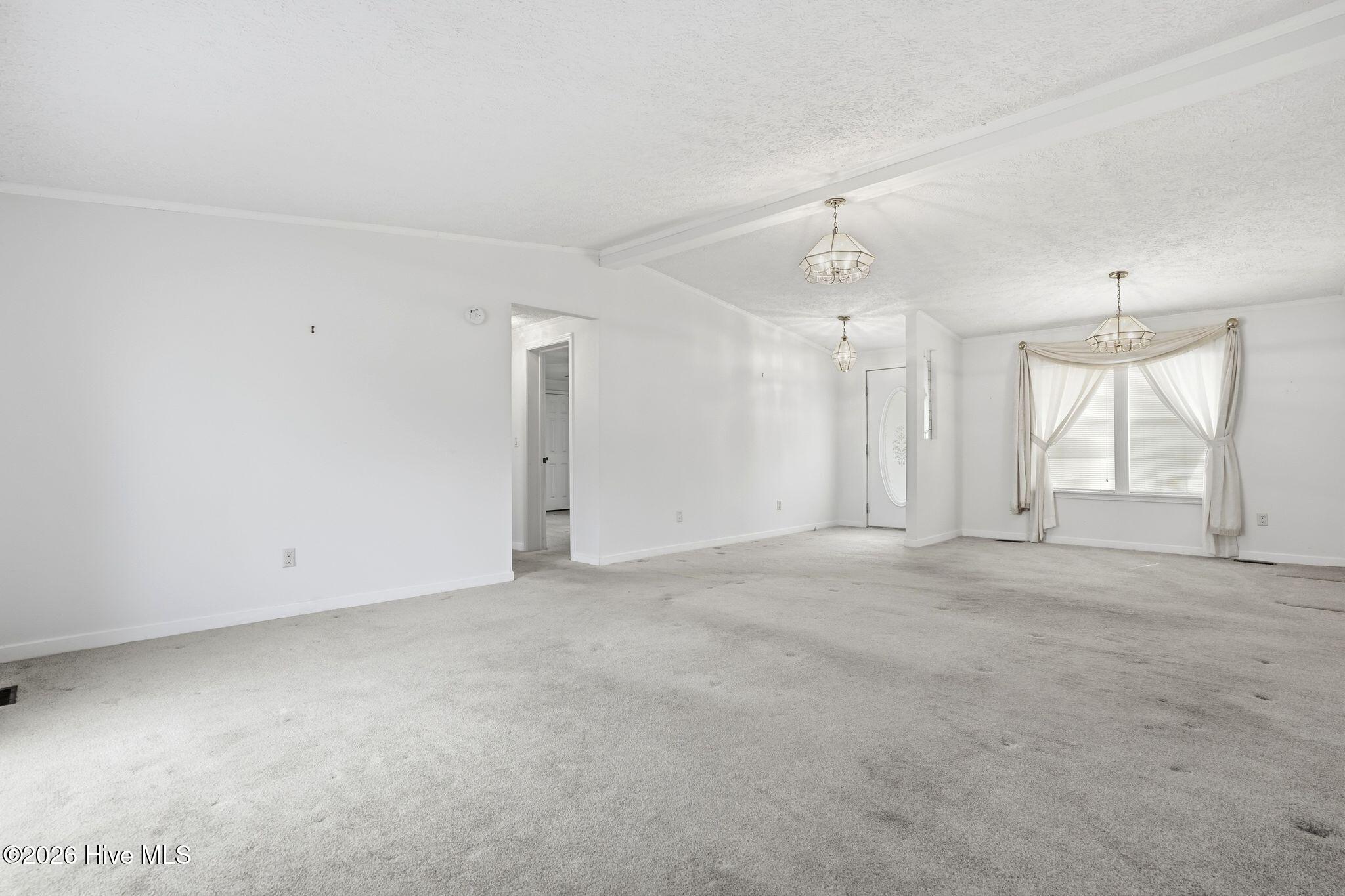 100556115 | Photo 35