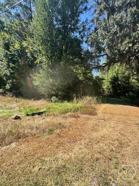 0 Hwy 17 S, Richmond Hill, GA, 31324