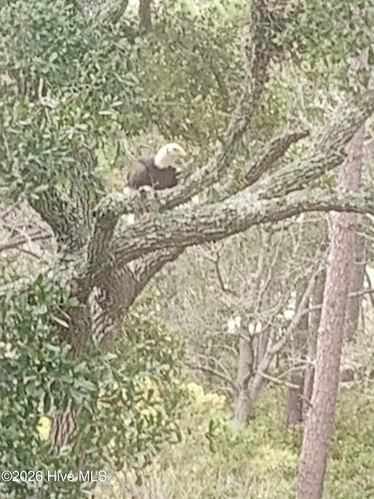 100547282 | Photo 14