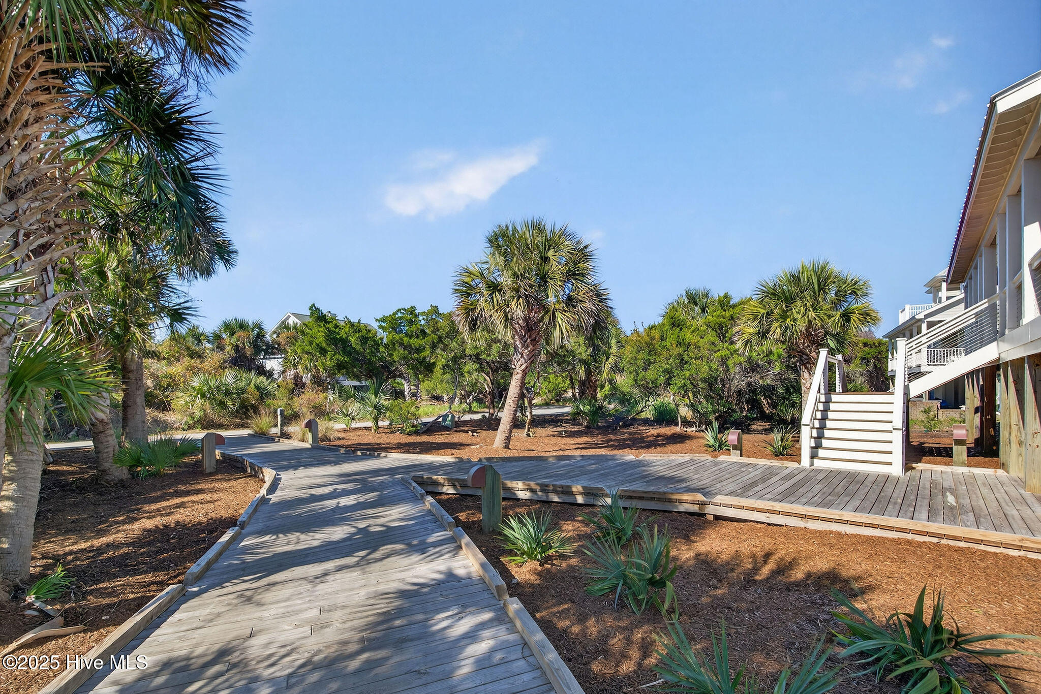 100541250 | Photo 92