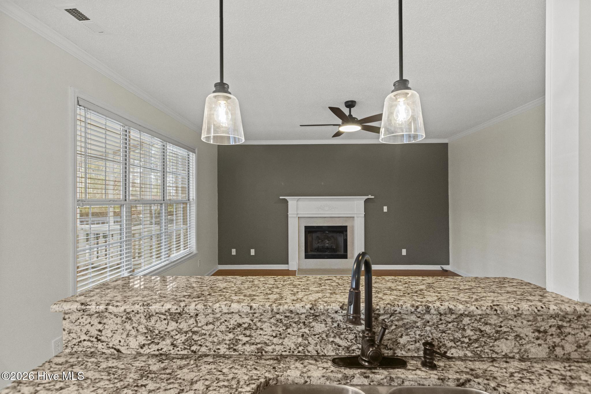 100548531 | Photo 15