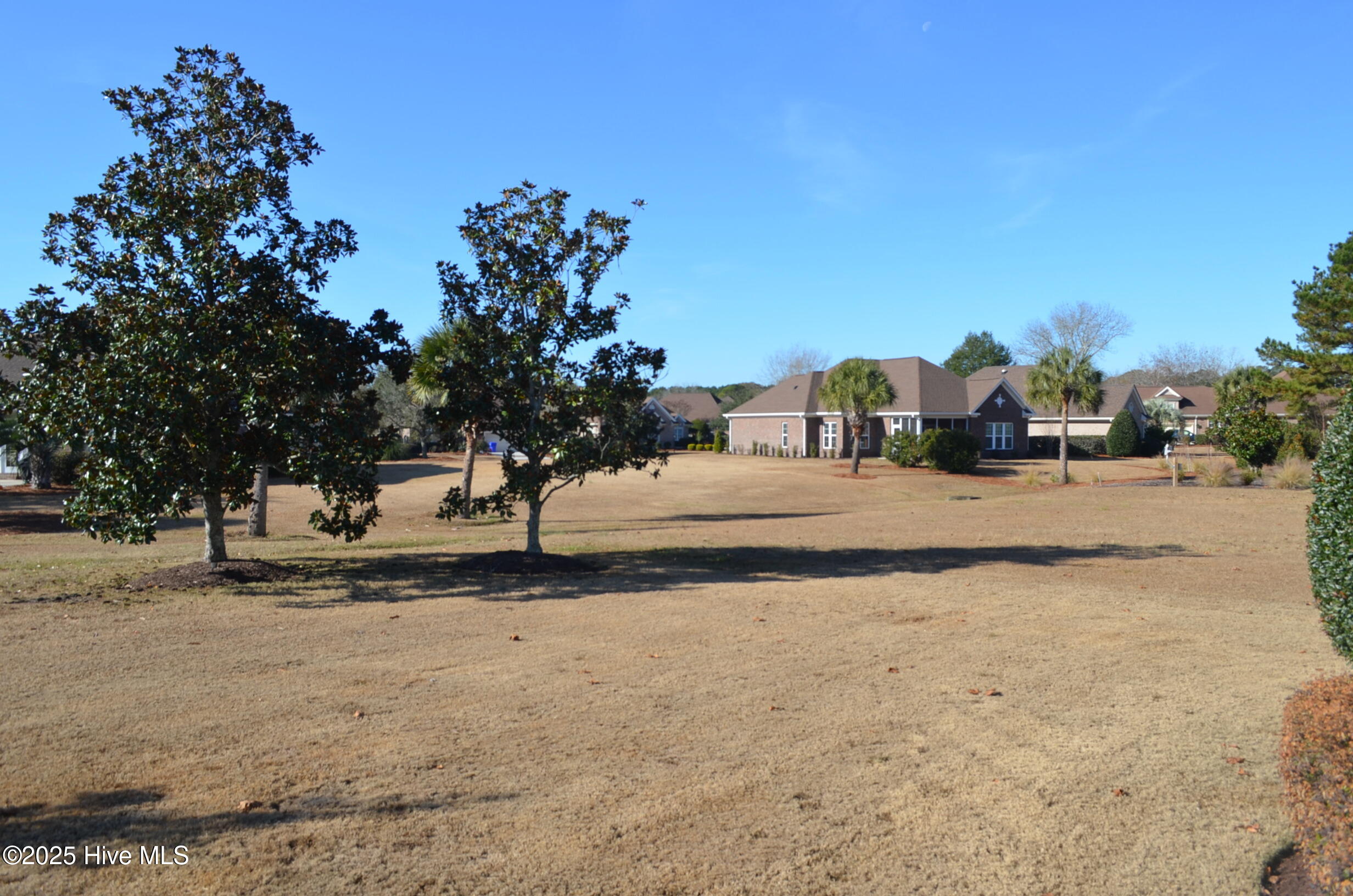 100545211 | Photo 54