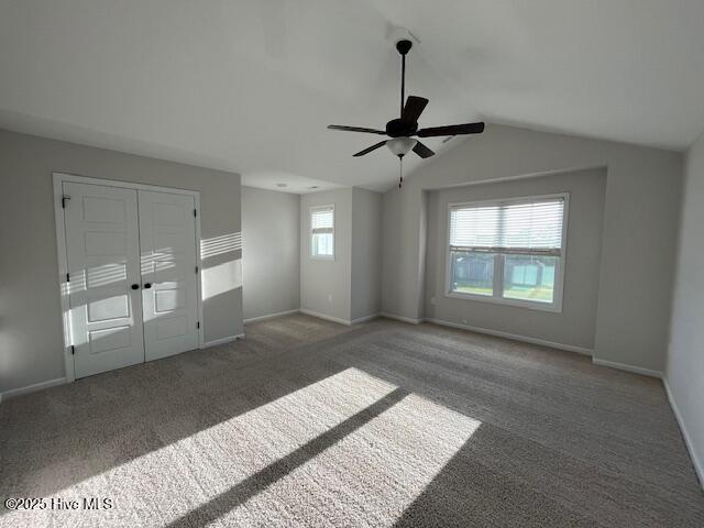 100534246 | Photo 14