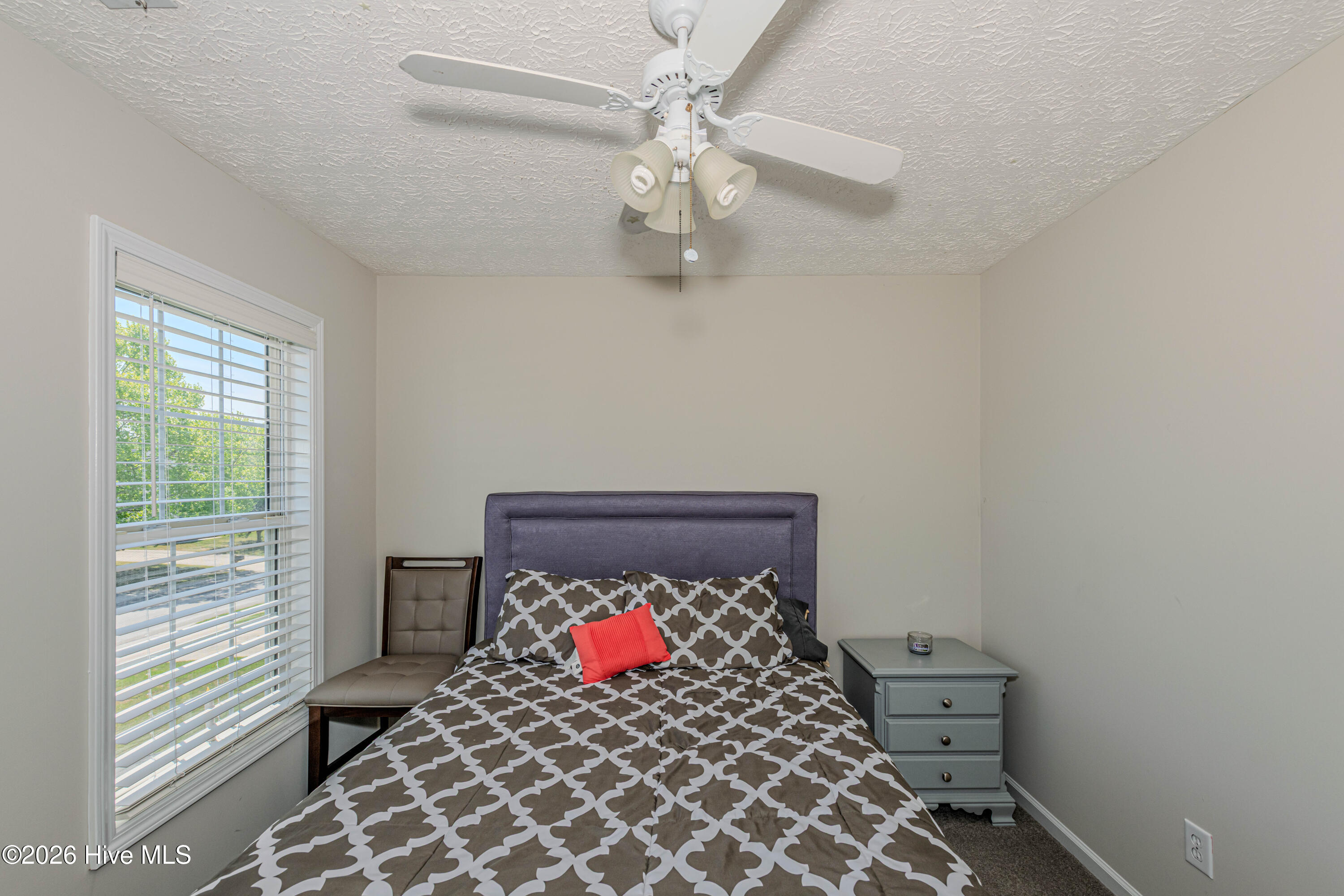 100569182 | Photo 39