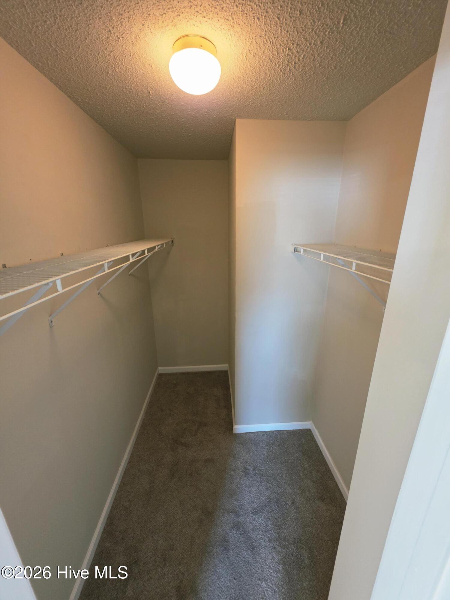 100551263 | Photo 11