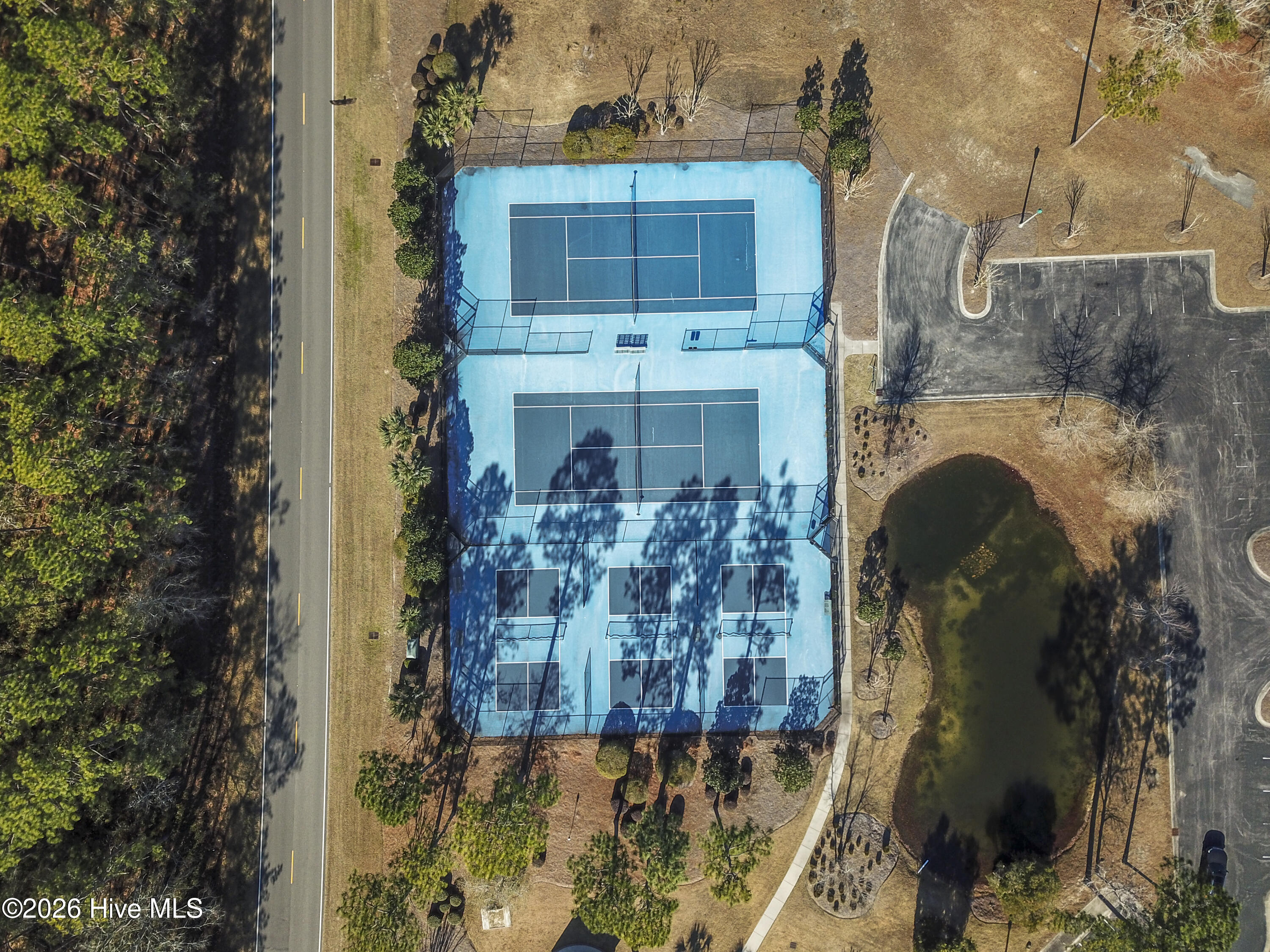 100556078 | Photo 95