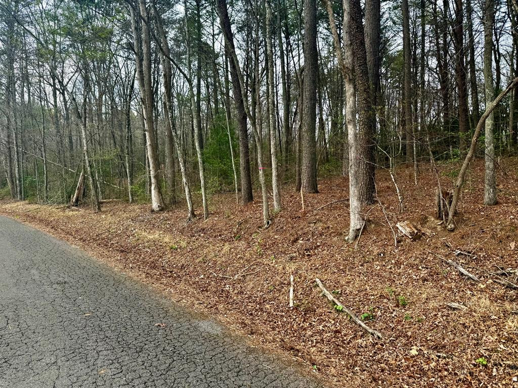 1st image of 0 Nicholson Cir, Turtletown, TN 37391 | MLS# 98544378