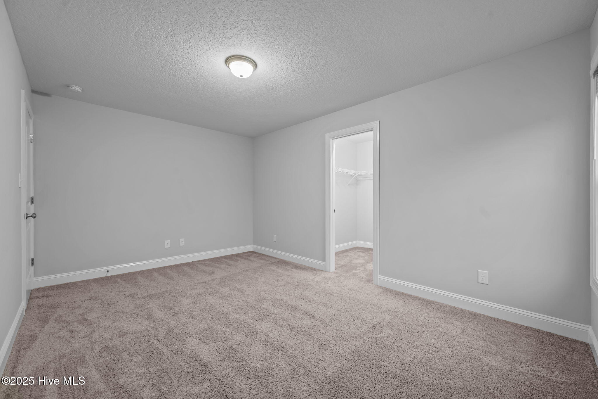 100546681 | Photo 42