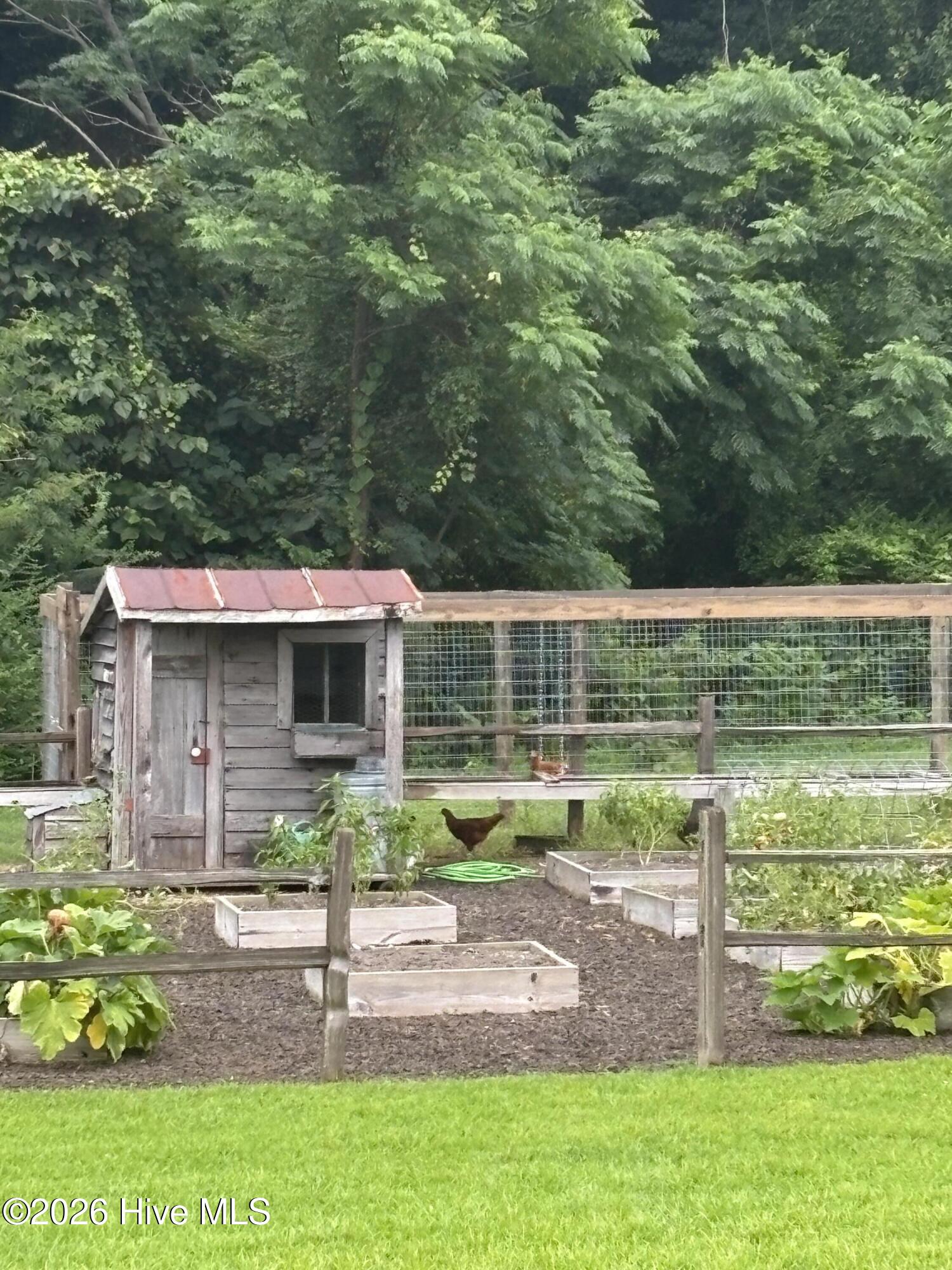 100556913 | Photo 61