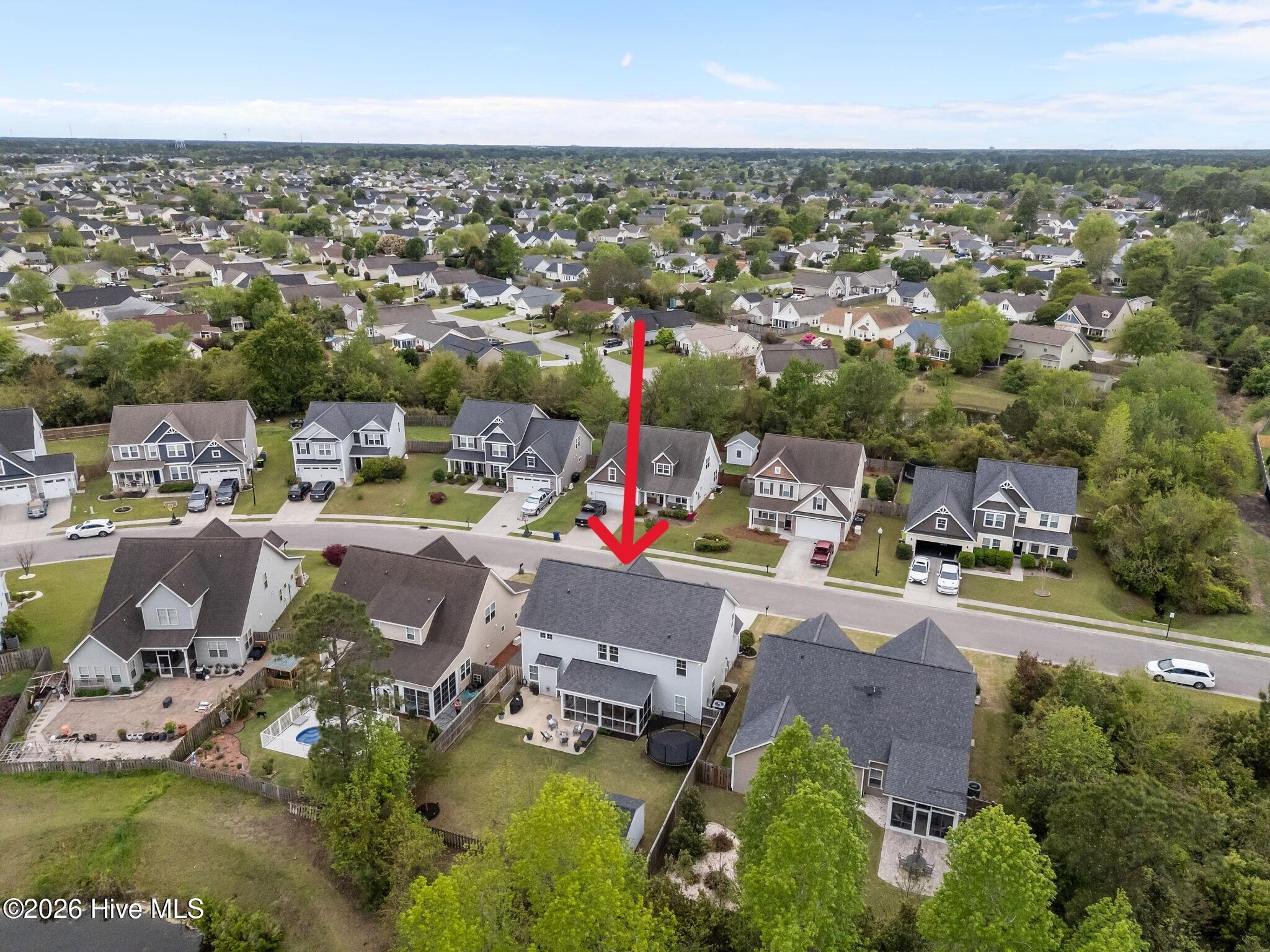 100565908 | Photo 39