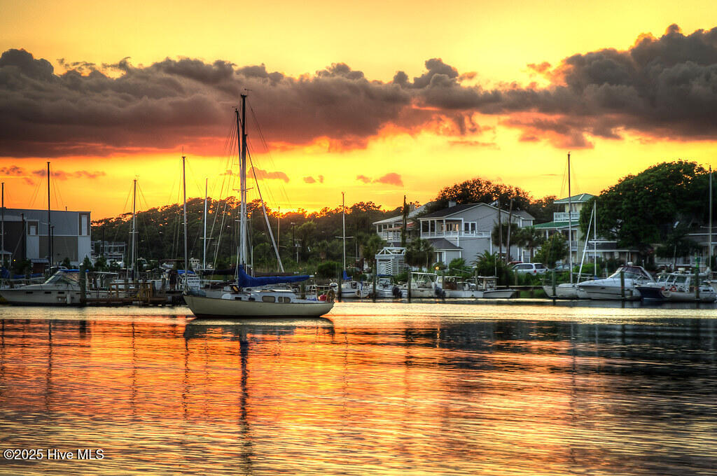 100533379 | Photo 22