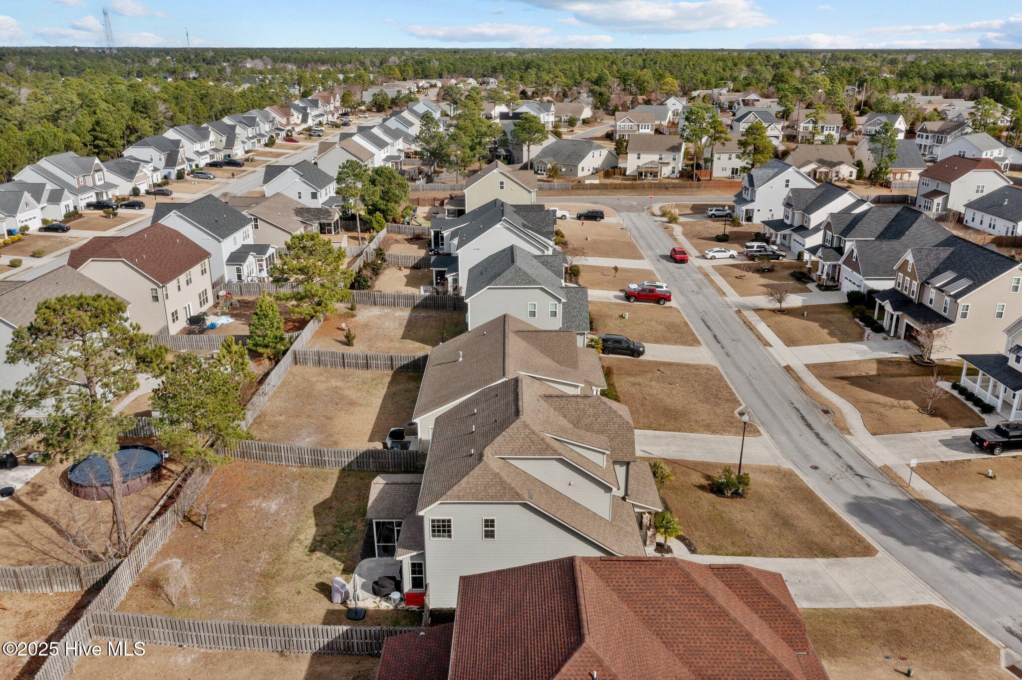 100530169 | Photo 18